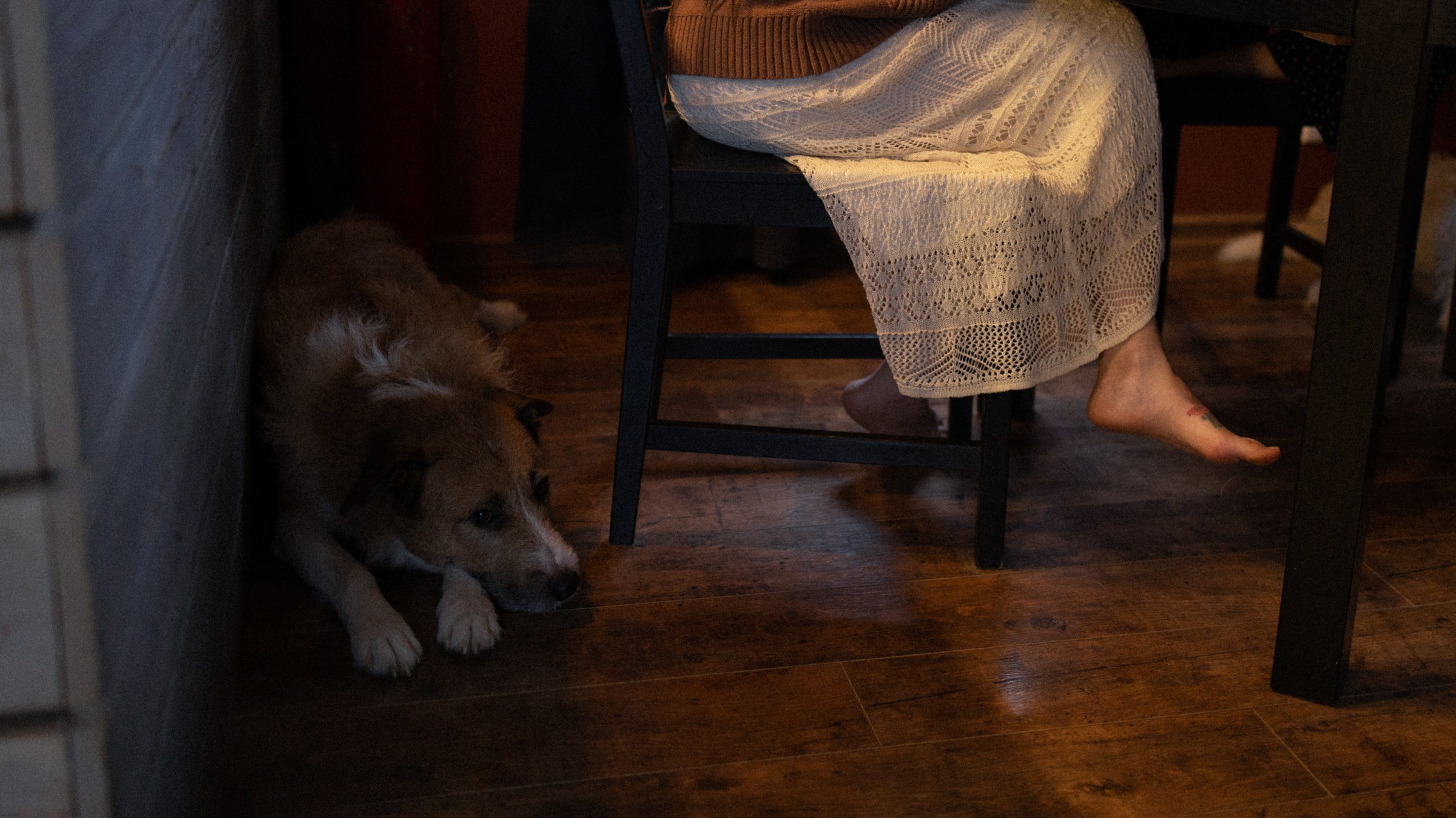 Франкенвини. Фотограф Daria Wilner