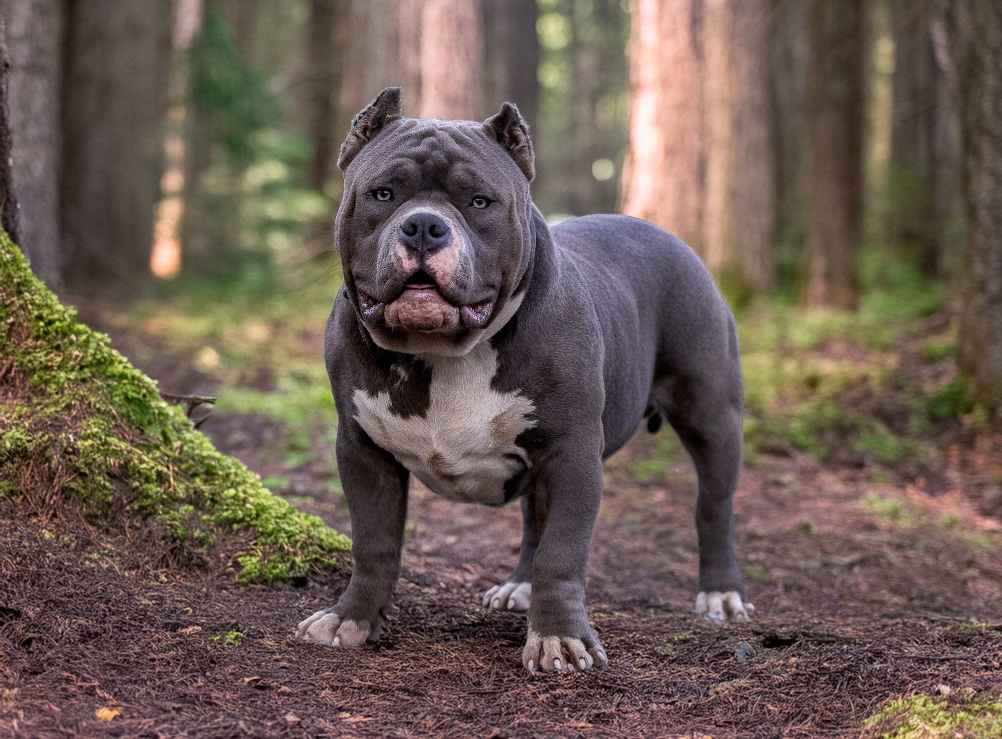 Курсы на фотографа-анималиста