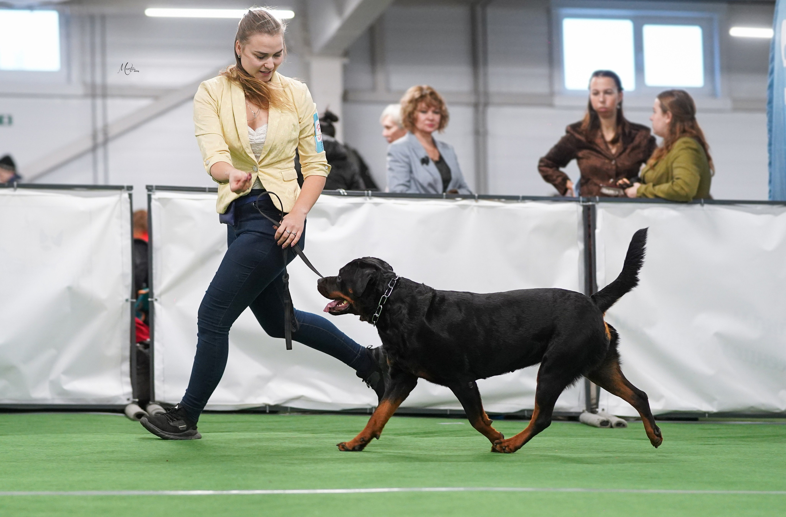 Выставки 2024. Фотограф-анималист в Санкт-Петербурге Яна Мартынова
