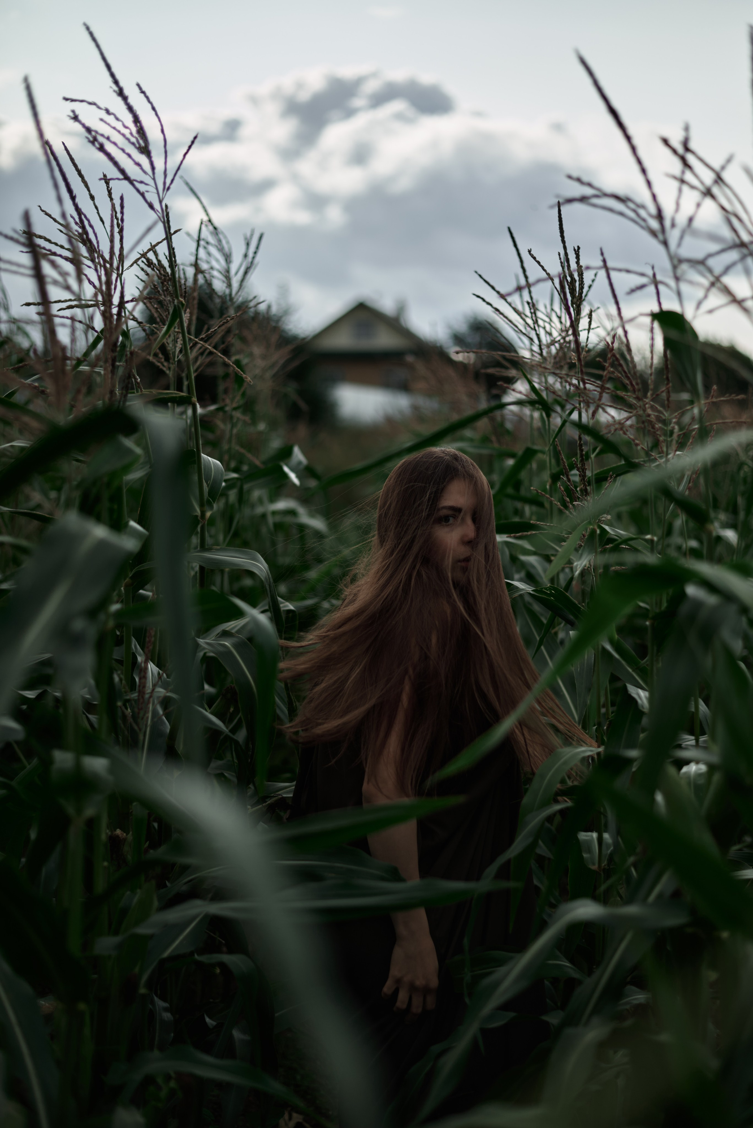 Рита — Corn Field. Photographer Bangkok — Pattaya | фотограф Бангкок — Паттайа