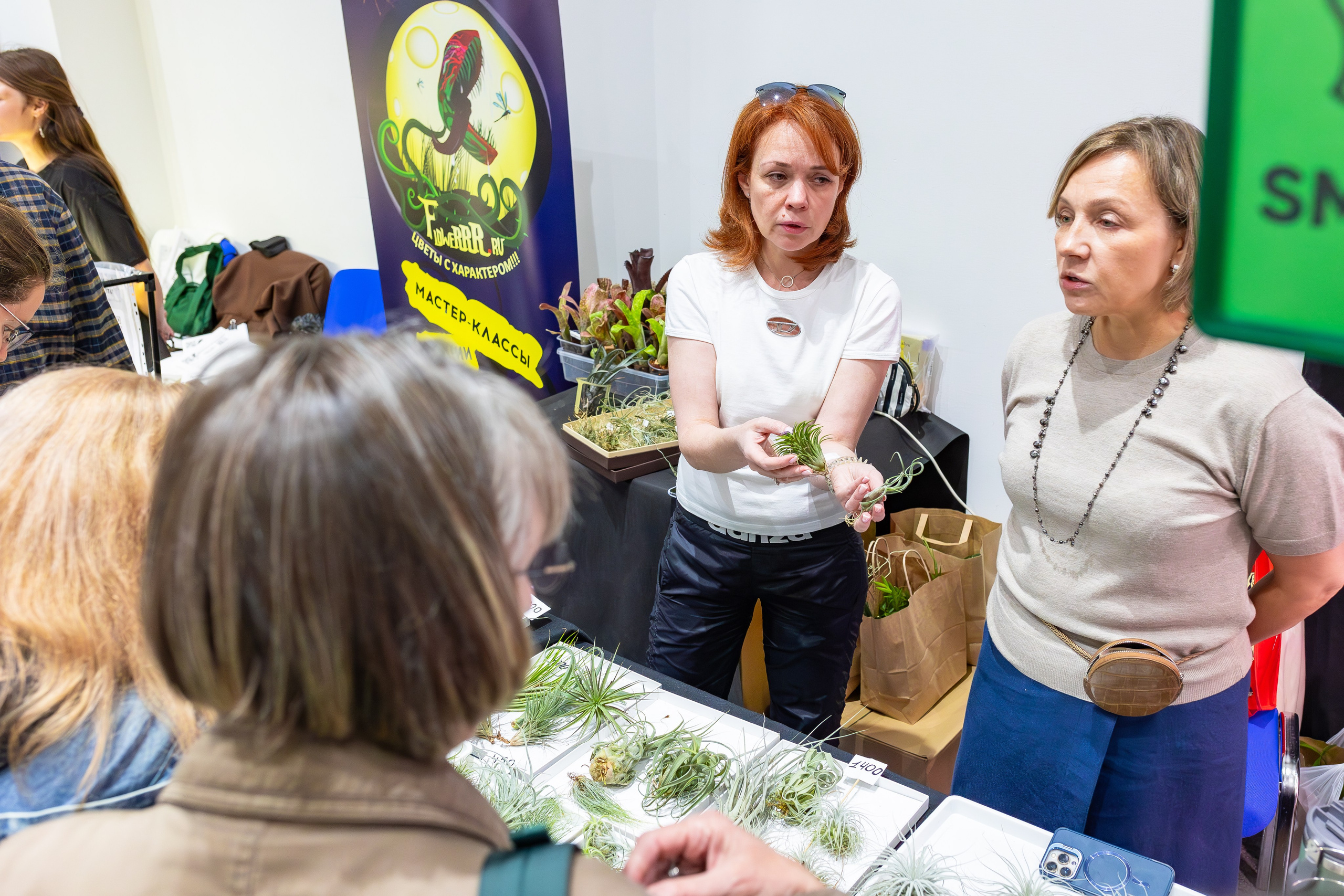 Орхидиум сентябрь 2025. Александра Куликова фотограф, Москва