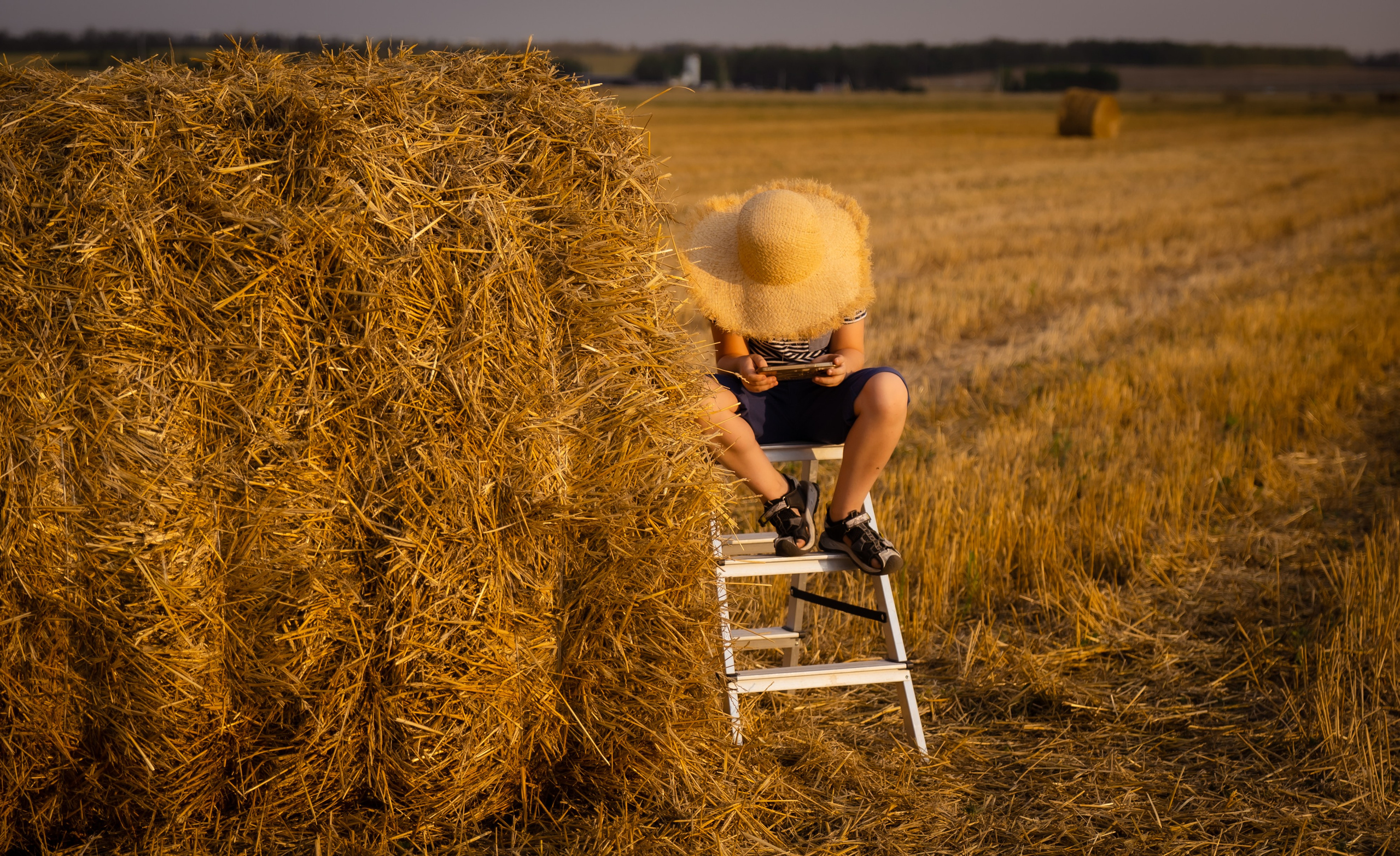 Виктория и Александр. Фотограф в Ростове-на-Дону Анна Малахова