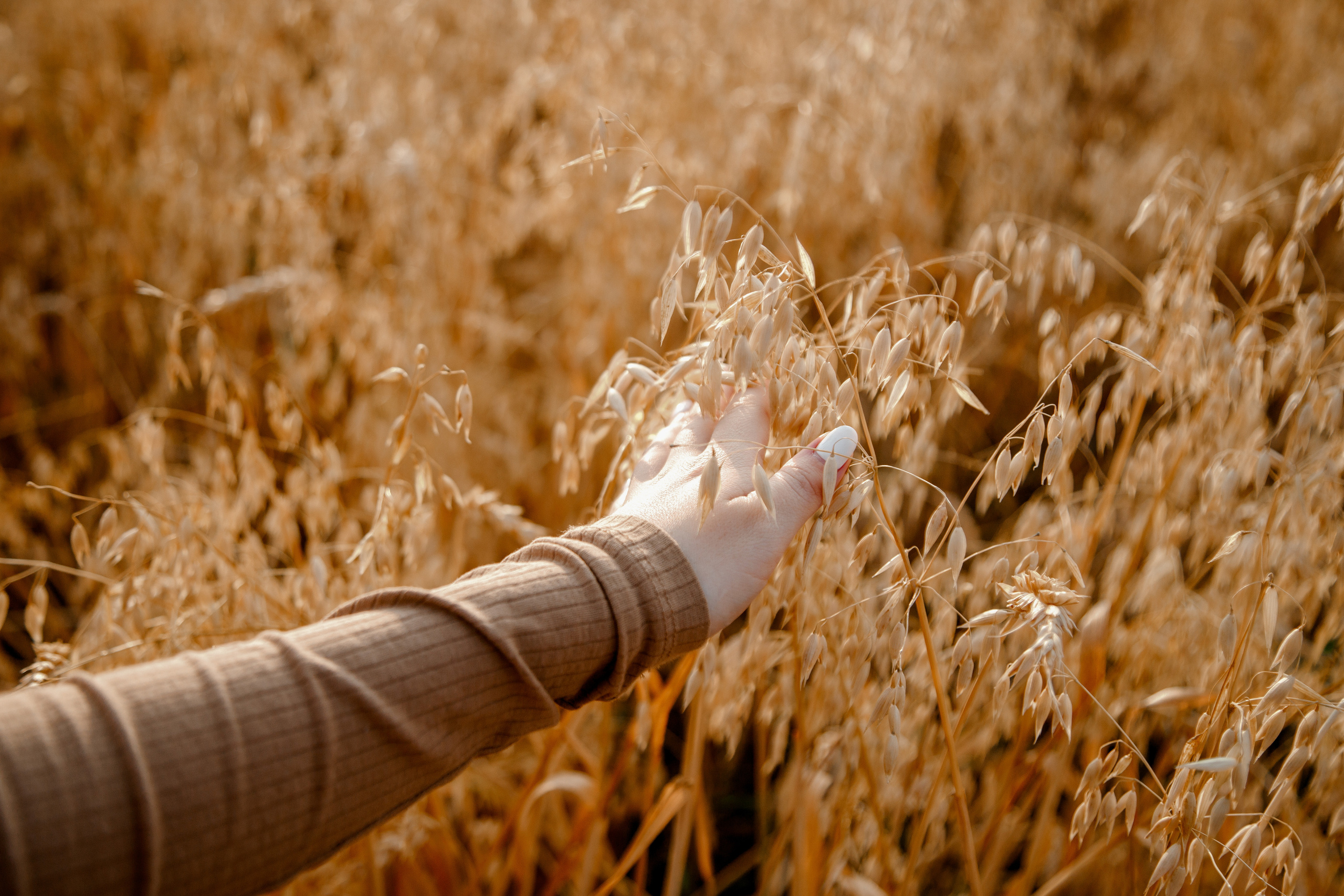 Александр и Юля. Свадебный и семейный фотограф Ибрагимова Мария из Екатеринбурга