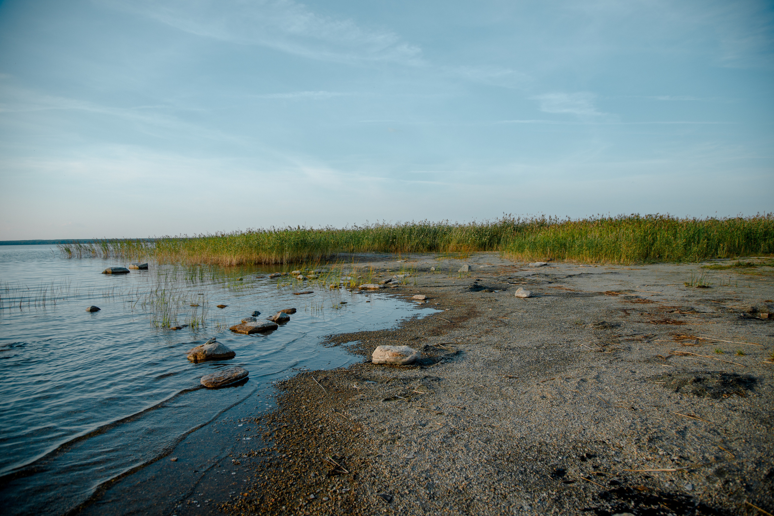 Love stoty Саша и Маша. Свадебный и семейный фотограф Ибрагимова Мария из Екатеринбурга