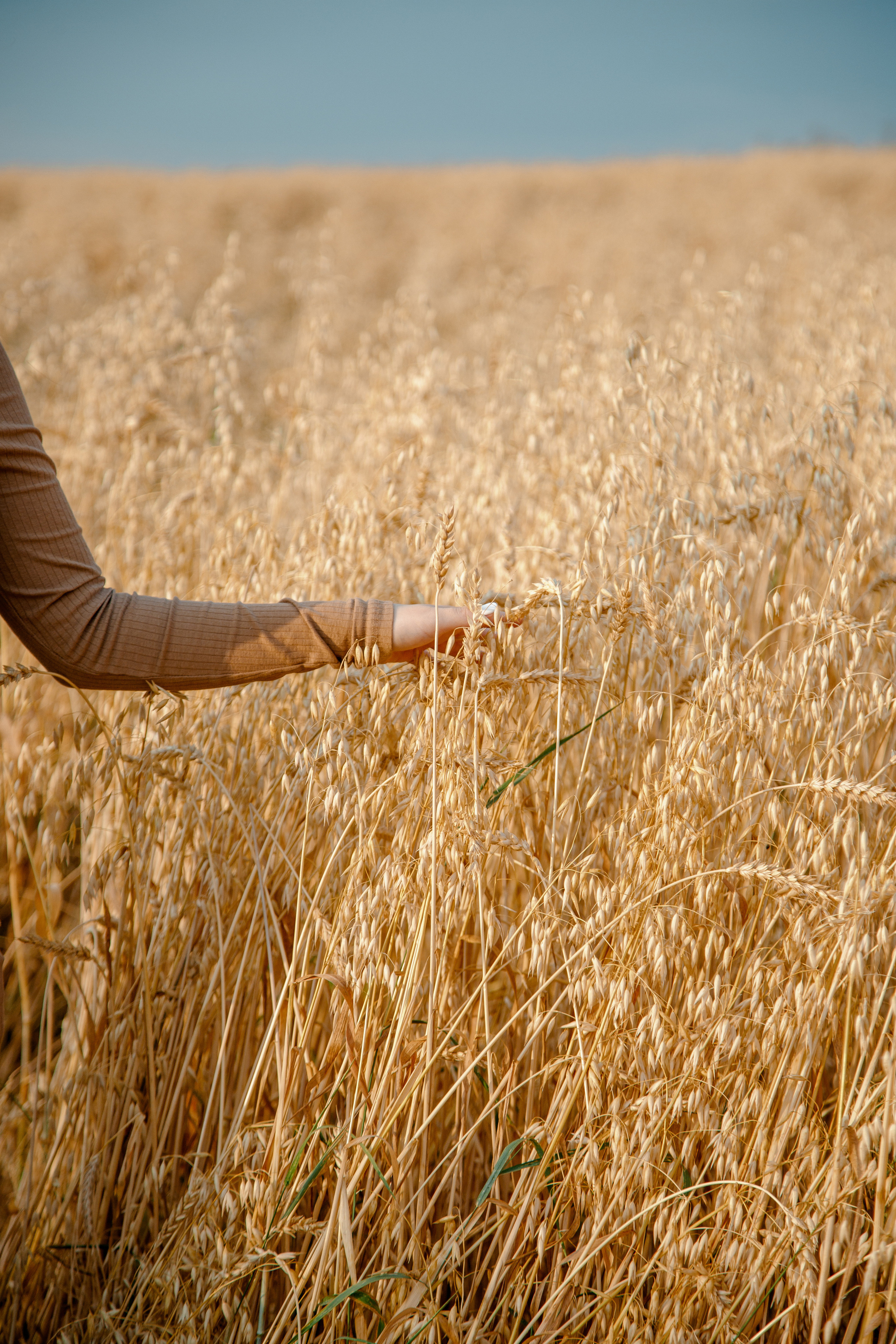 Александр и Юля. Свадебный и семейный фотограф Ибрагимова Мария из Екатеринбурга