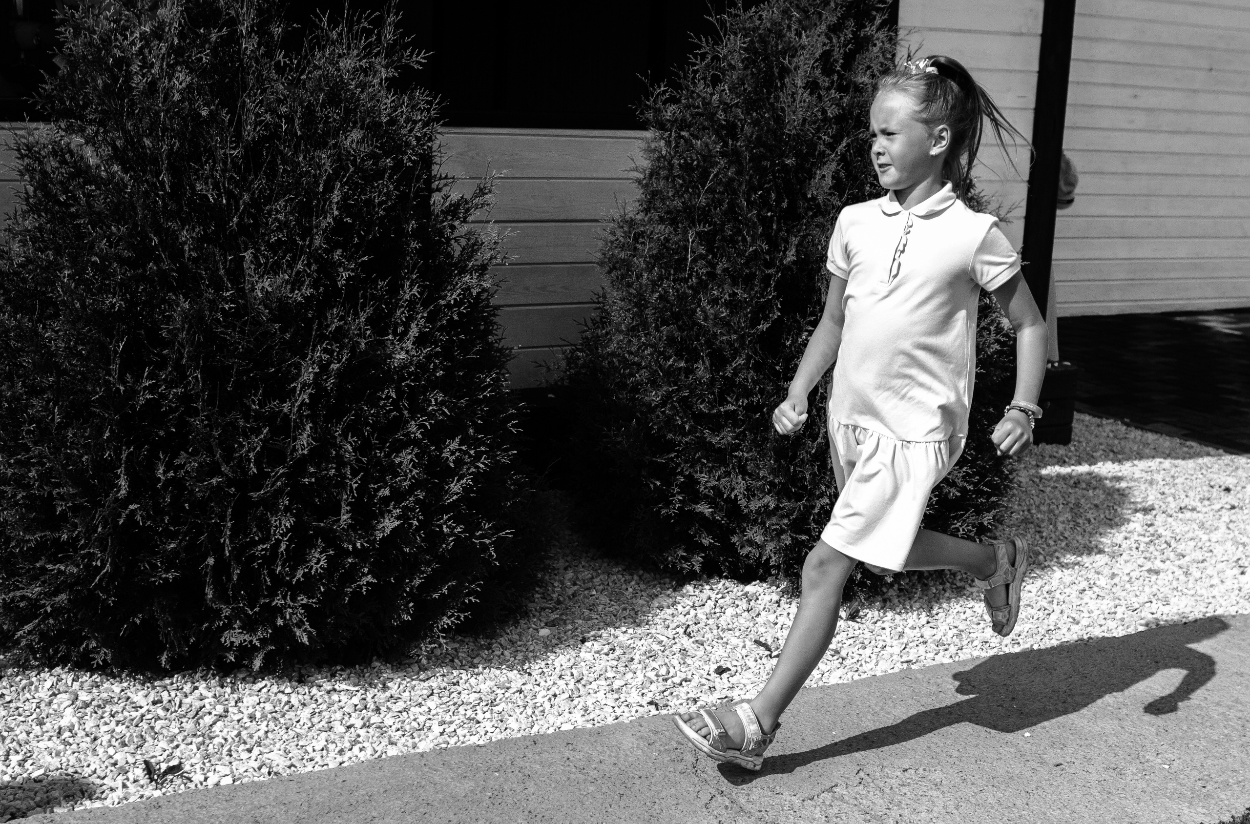 Свадьба Александр и Света. Свадебный и семейный фотограф Ибрагимова Мария из Екатеринбурга