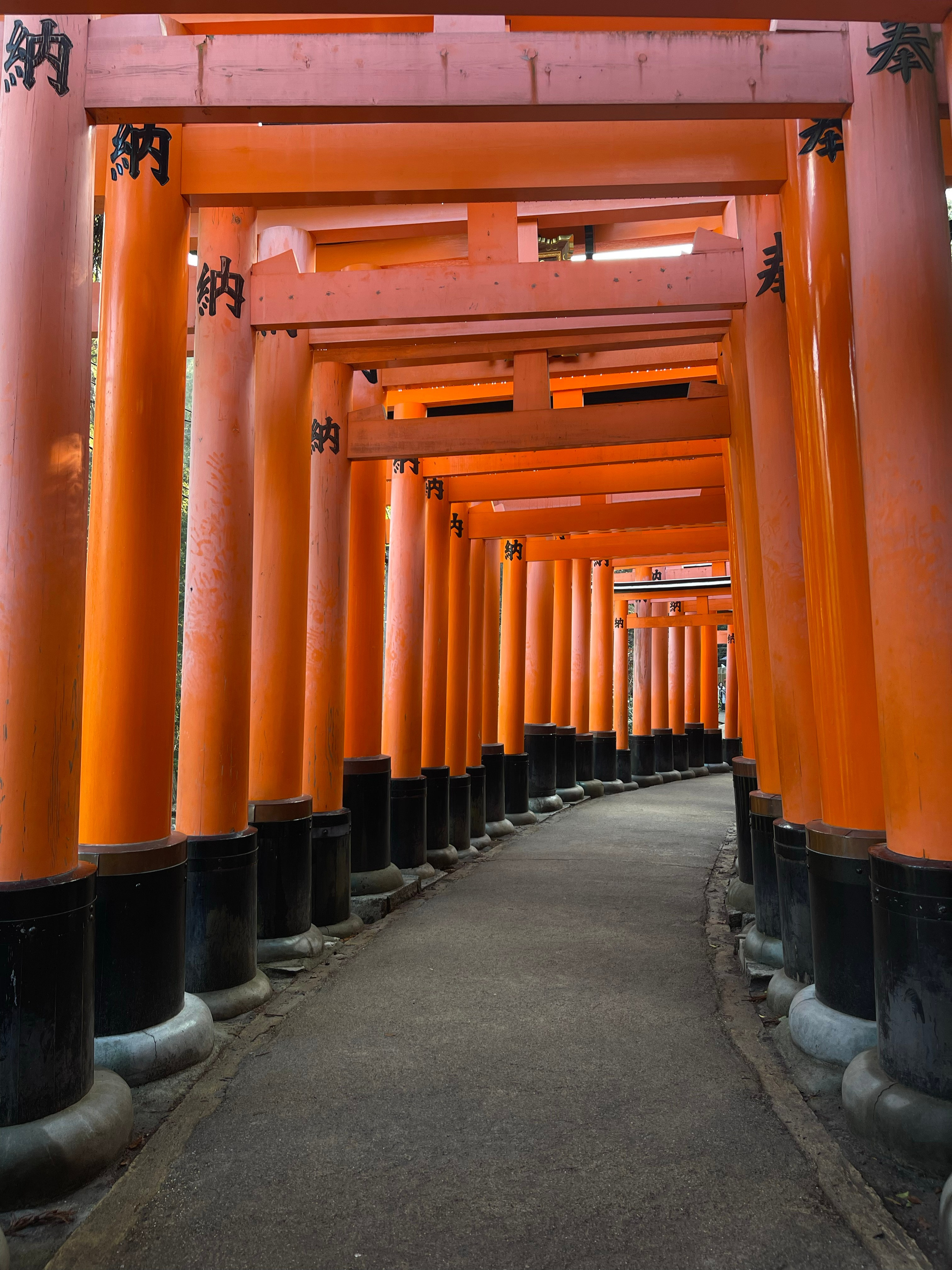 Kyoto. Фотограф Алина Диева Москва | Токио