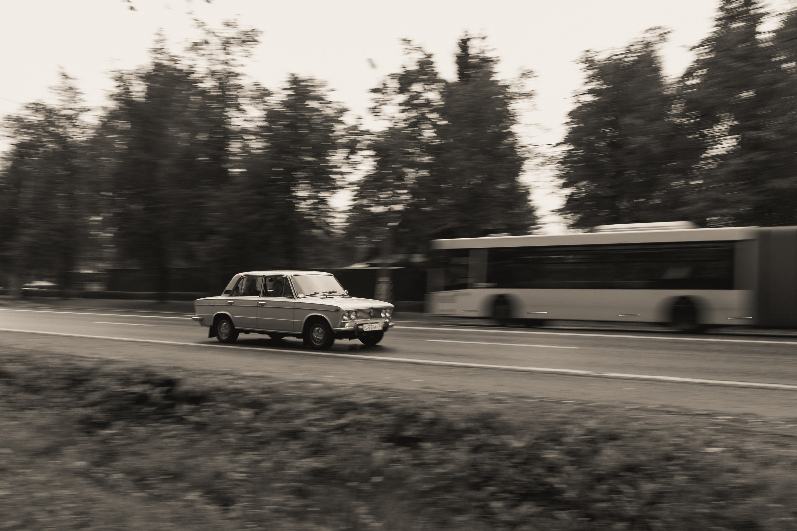 Afonina | Black&White. Фотограф Вадим Чепрасов | Санкт-Петербург