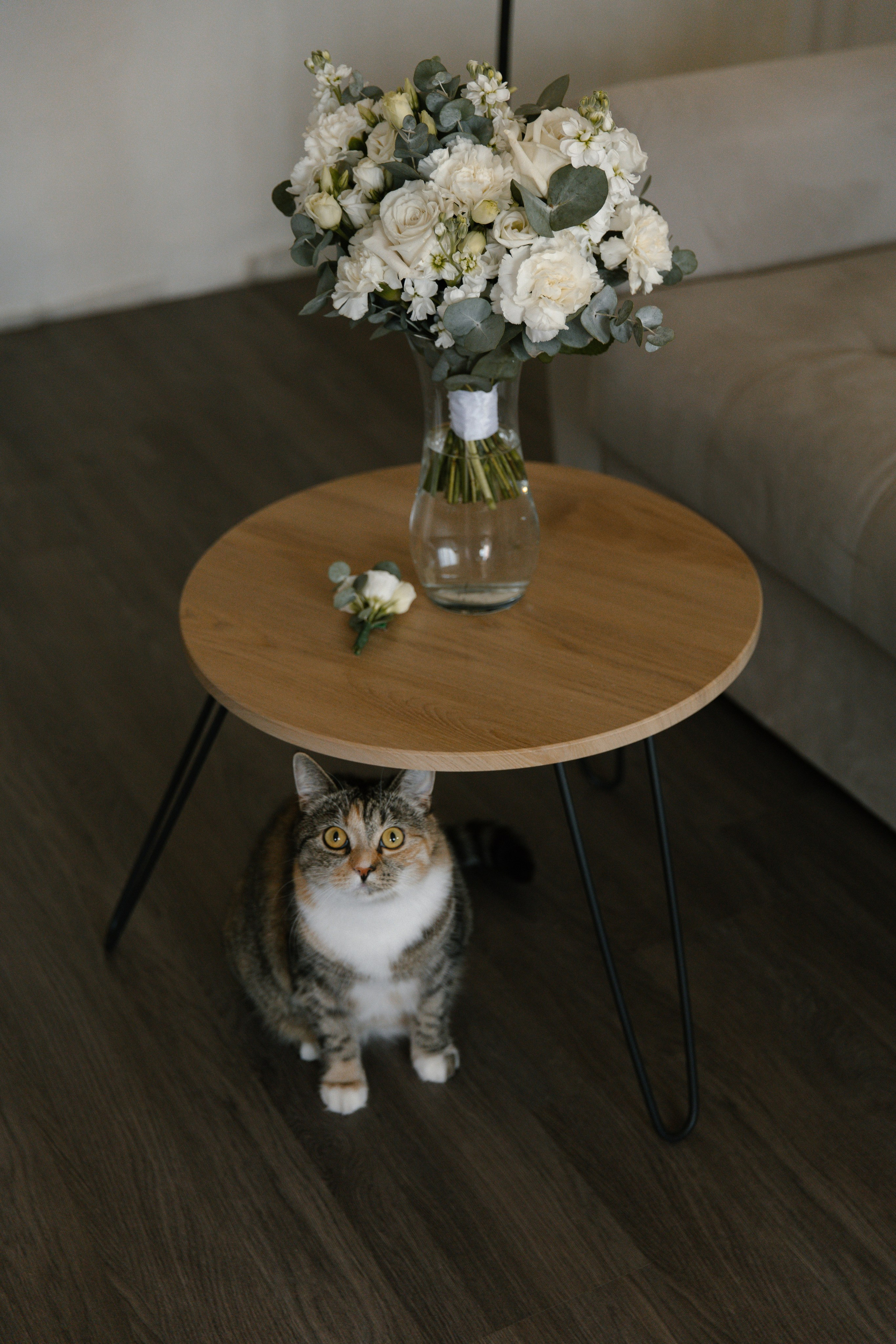 Владислав и Амина. Брысина Алёна/ фотограф Петрозаводск, Карелия