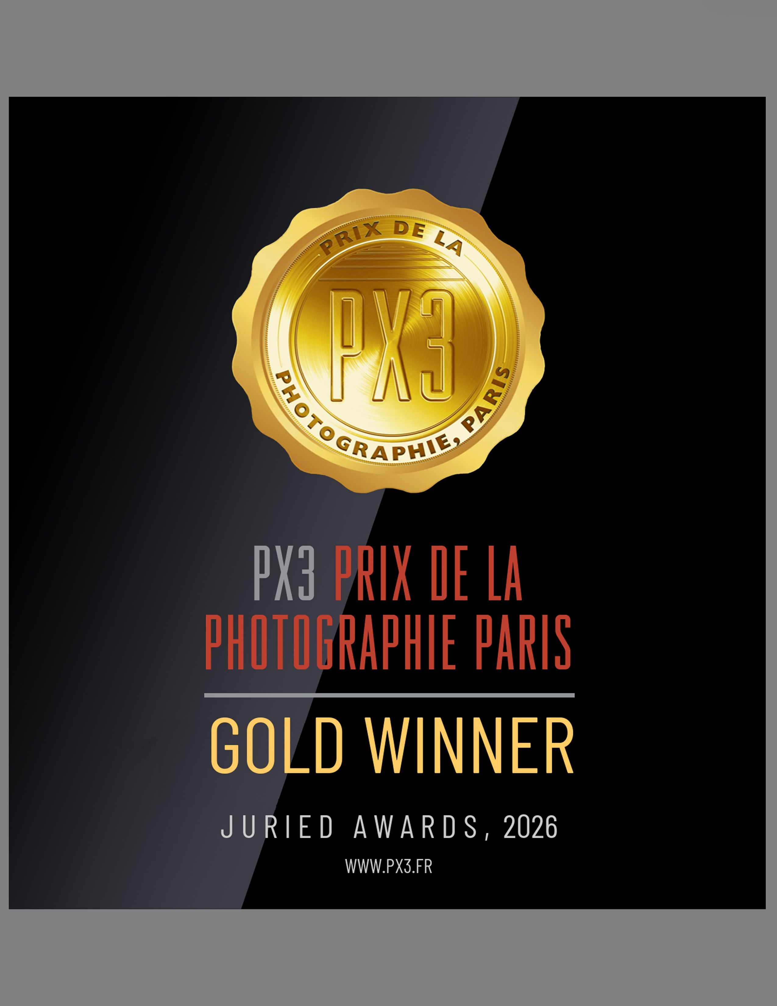 GOLD WINNER!   «PX3 Prix de la Photographie, Paris»  board of jury acknowledges  the great work titled «IN STARK CONTRAST» by STANISLAV EFIMOV  (Russia),  in the Professional Advertising category. 