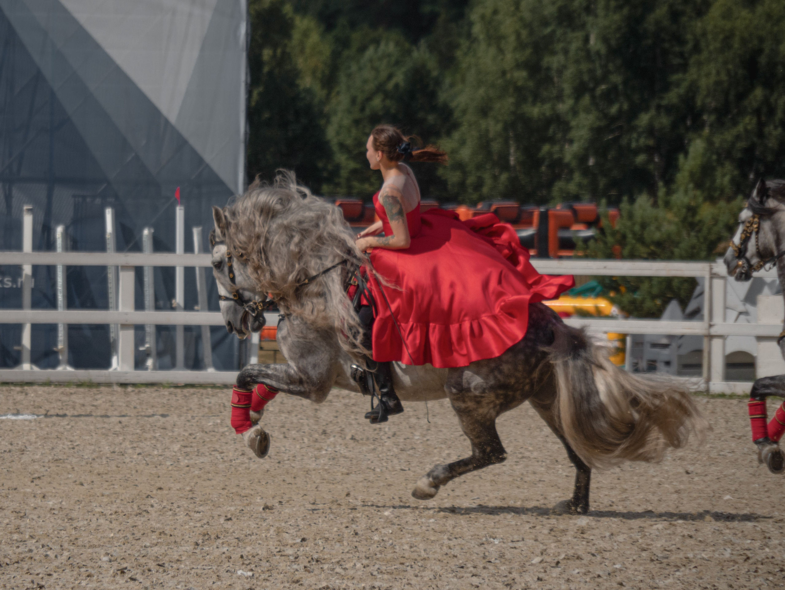Конные фестивали и мероприятия. Фотограф в Москве Ленарская Дарья