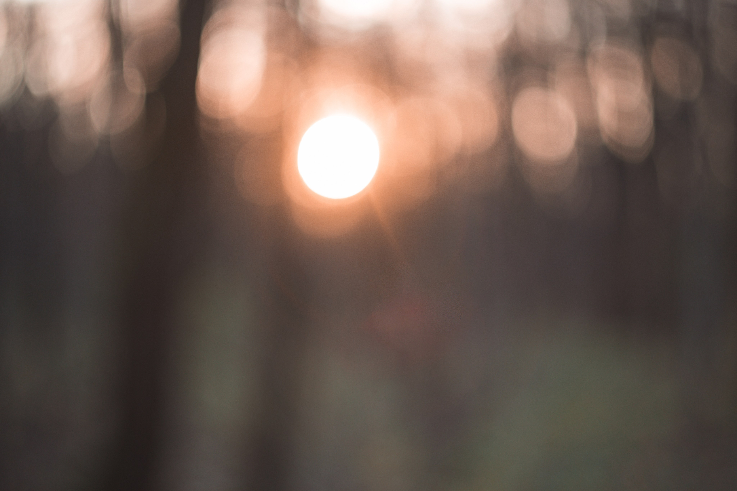 Ноябрь 2023. Efremovaphoto.ru