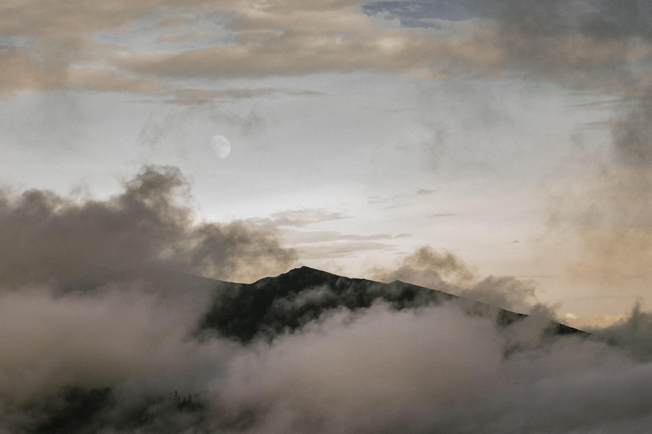 Фотограф и видеограф Нарчев Алексей