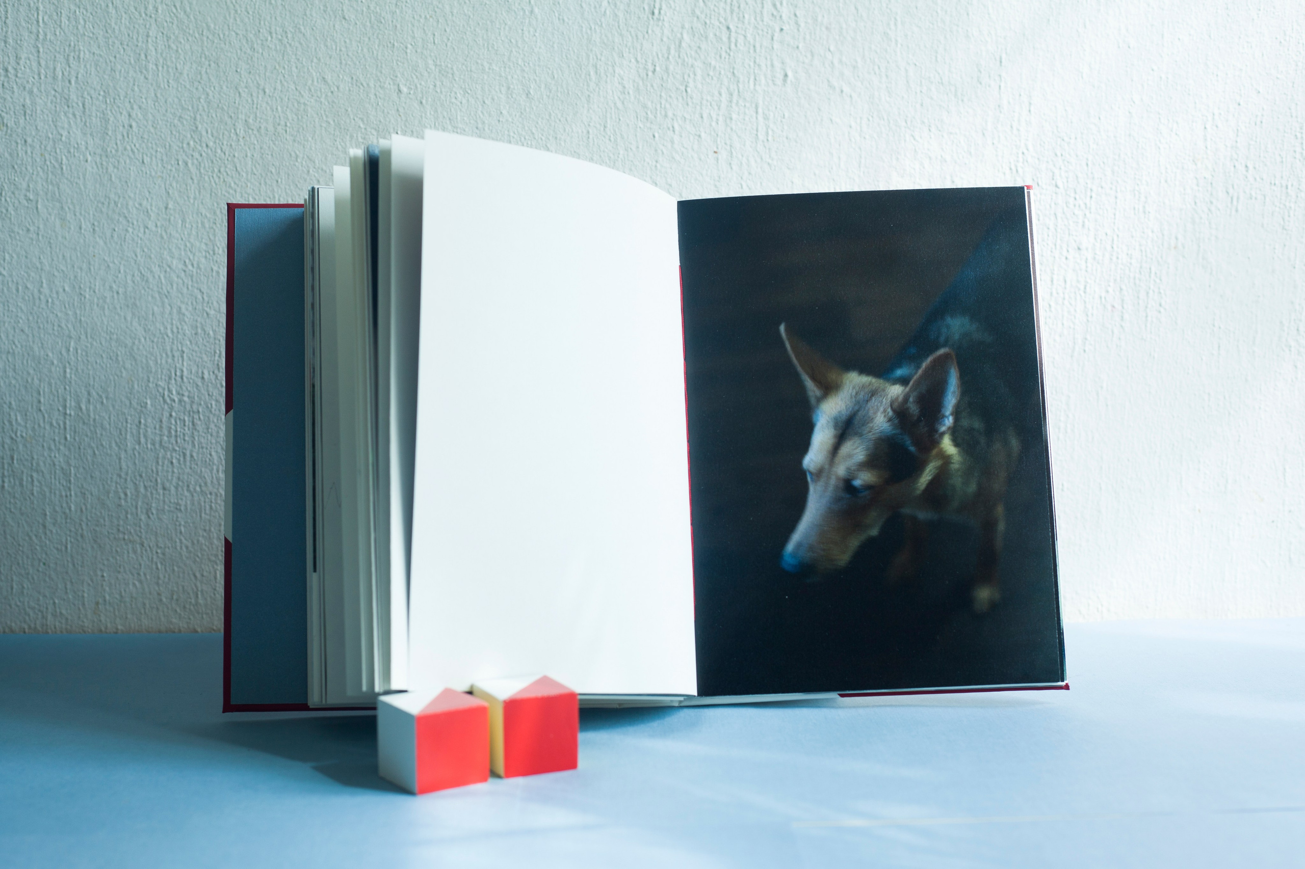 A book about the project. Aleksandra Mikhailova multimedia artist