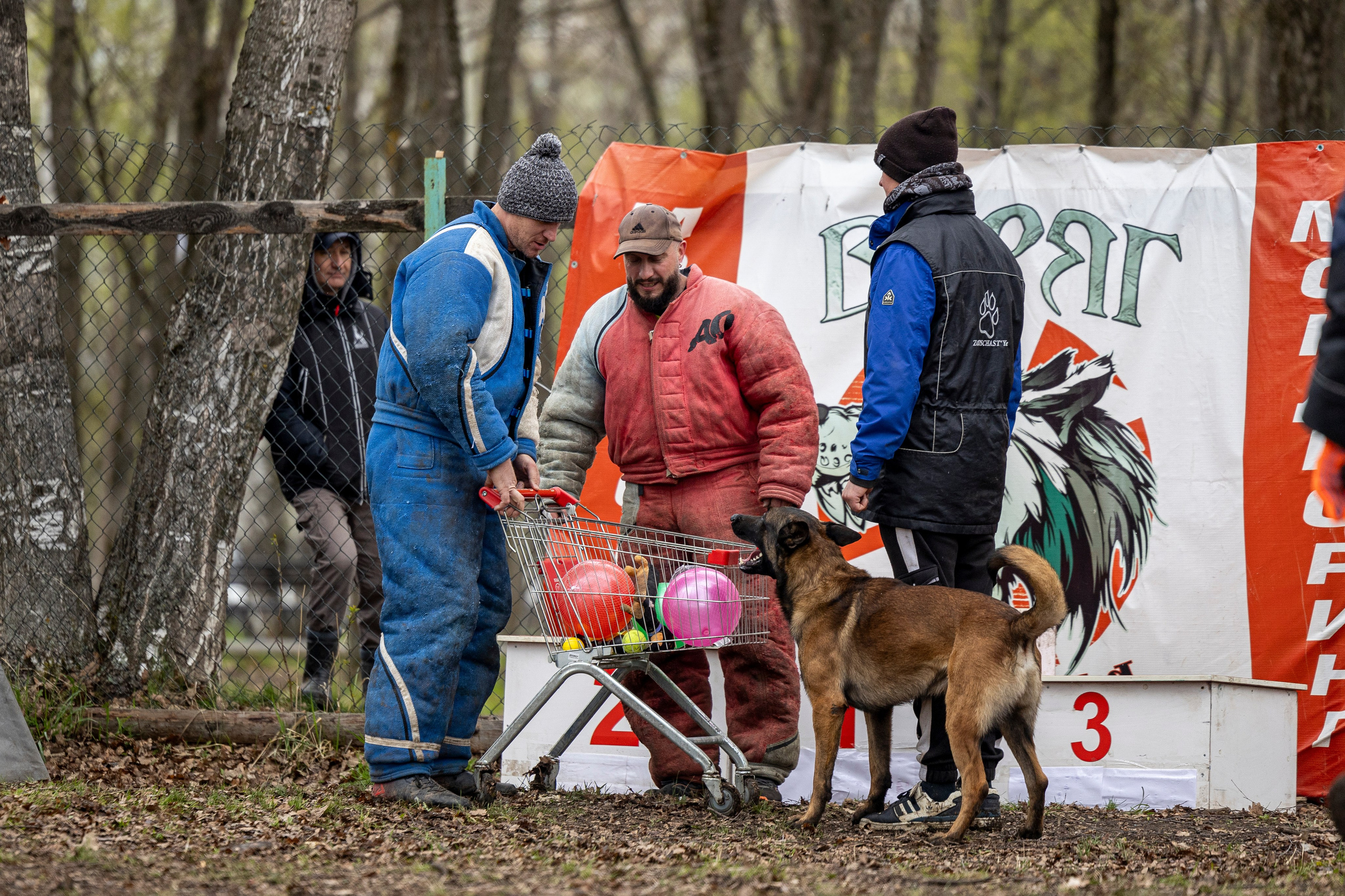 Квалификационные состязания по мондьорингу г. Вологда 11.05.24. Фотограф-анималист Анна Маринич