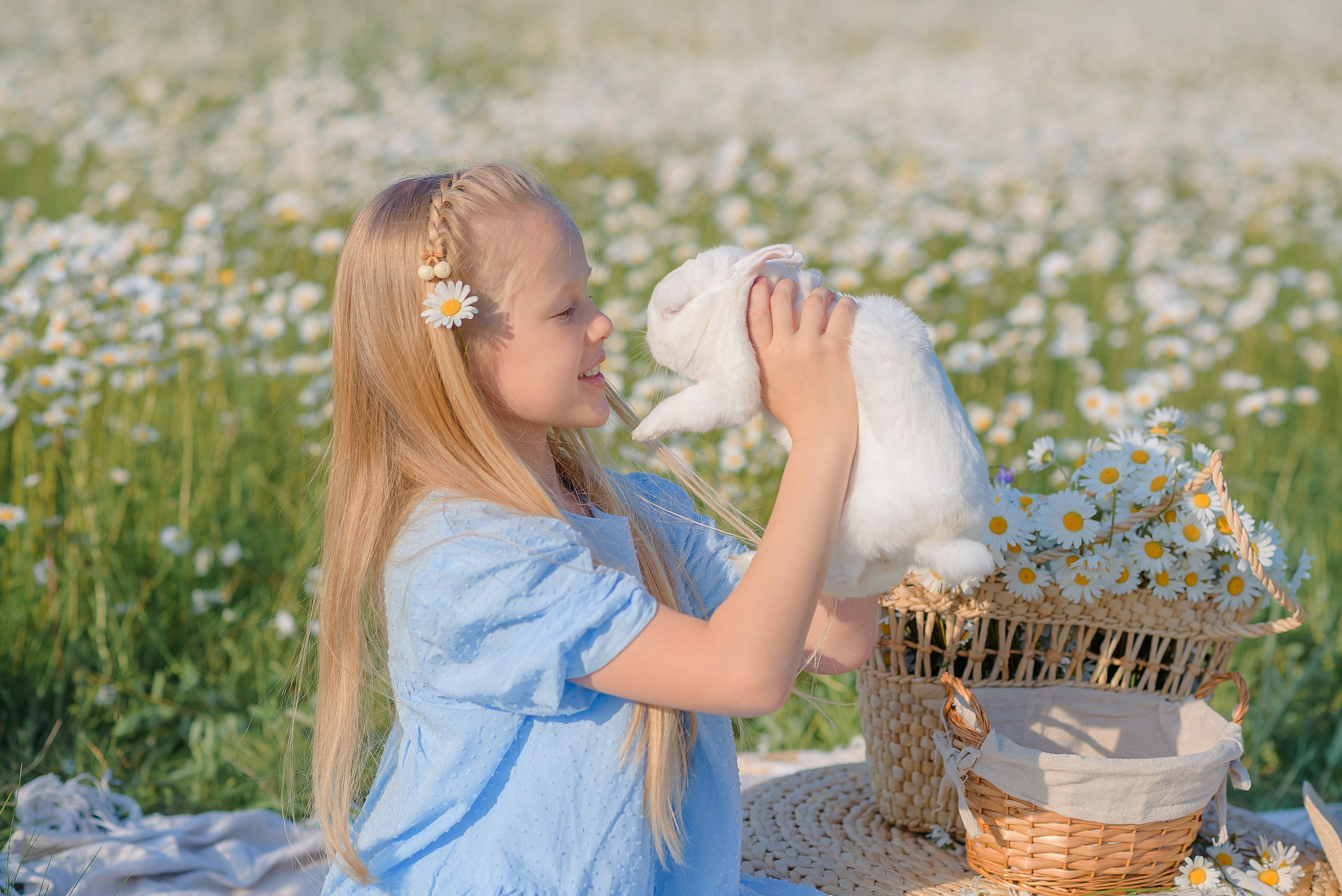 Ромашковое поле. Семейный фотограф в Рязани Мария Ермакова