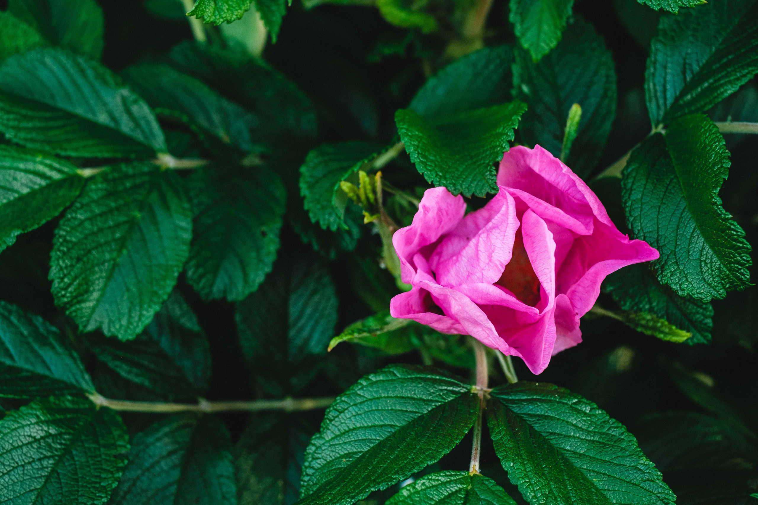 2022.06. Фотограф Алексей Алексеев