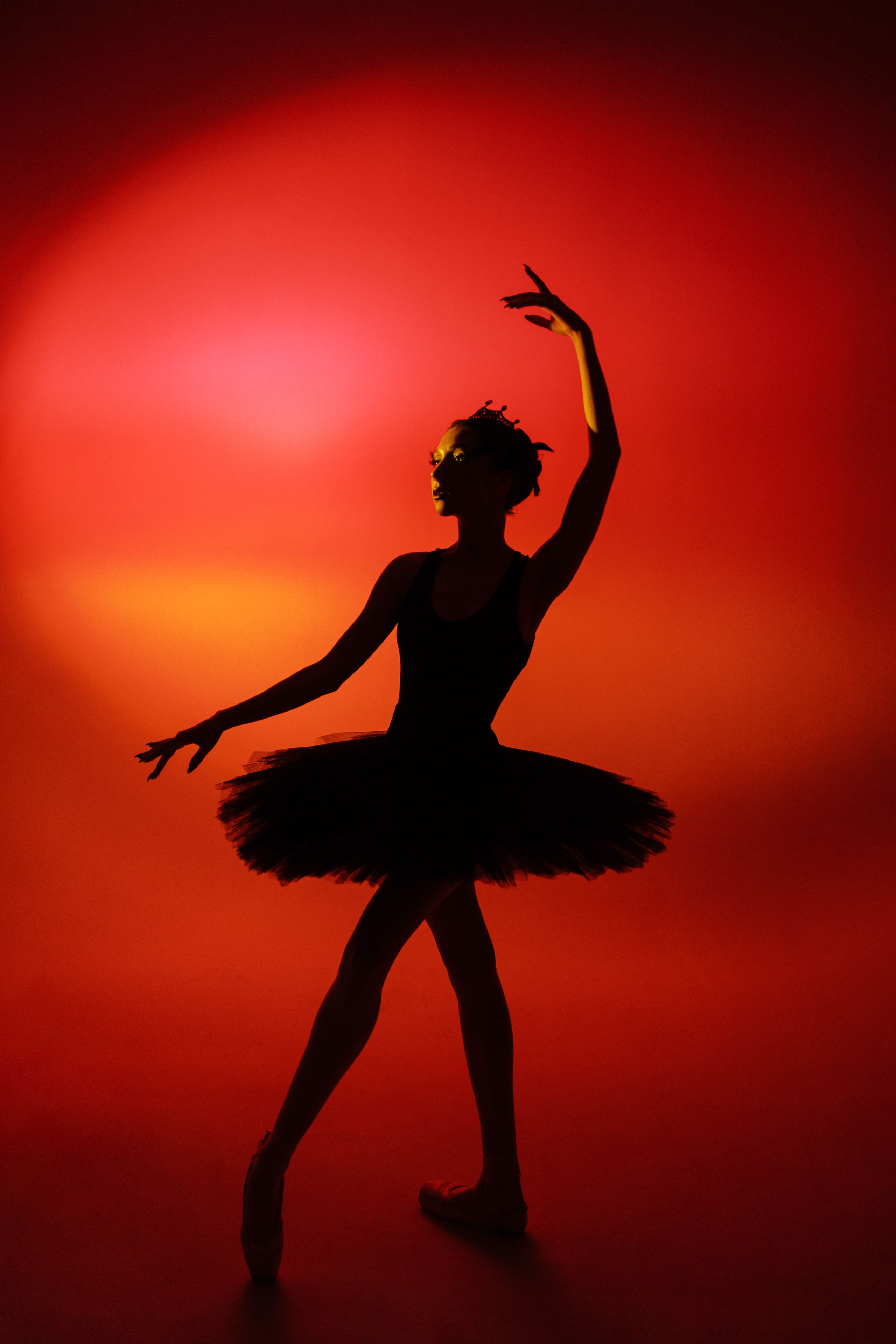 Черный лебедь. Марковкина КрисТина