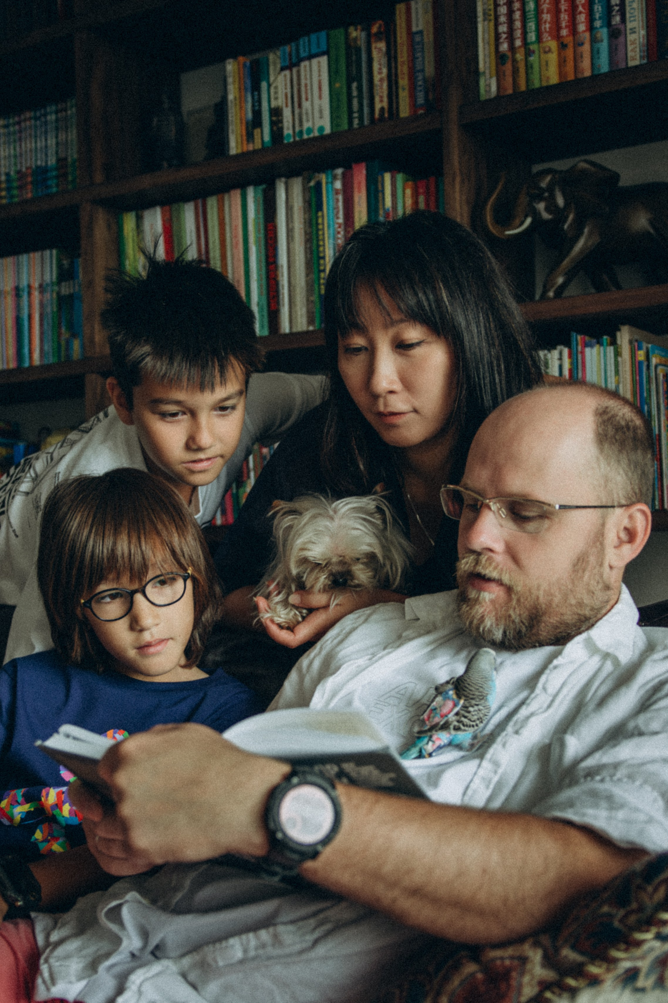 Семейный фотограф в городе Шанхай, Китай Акулова Наталья