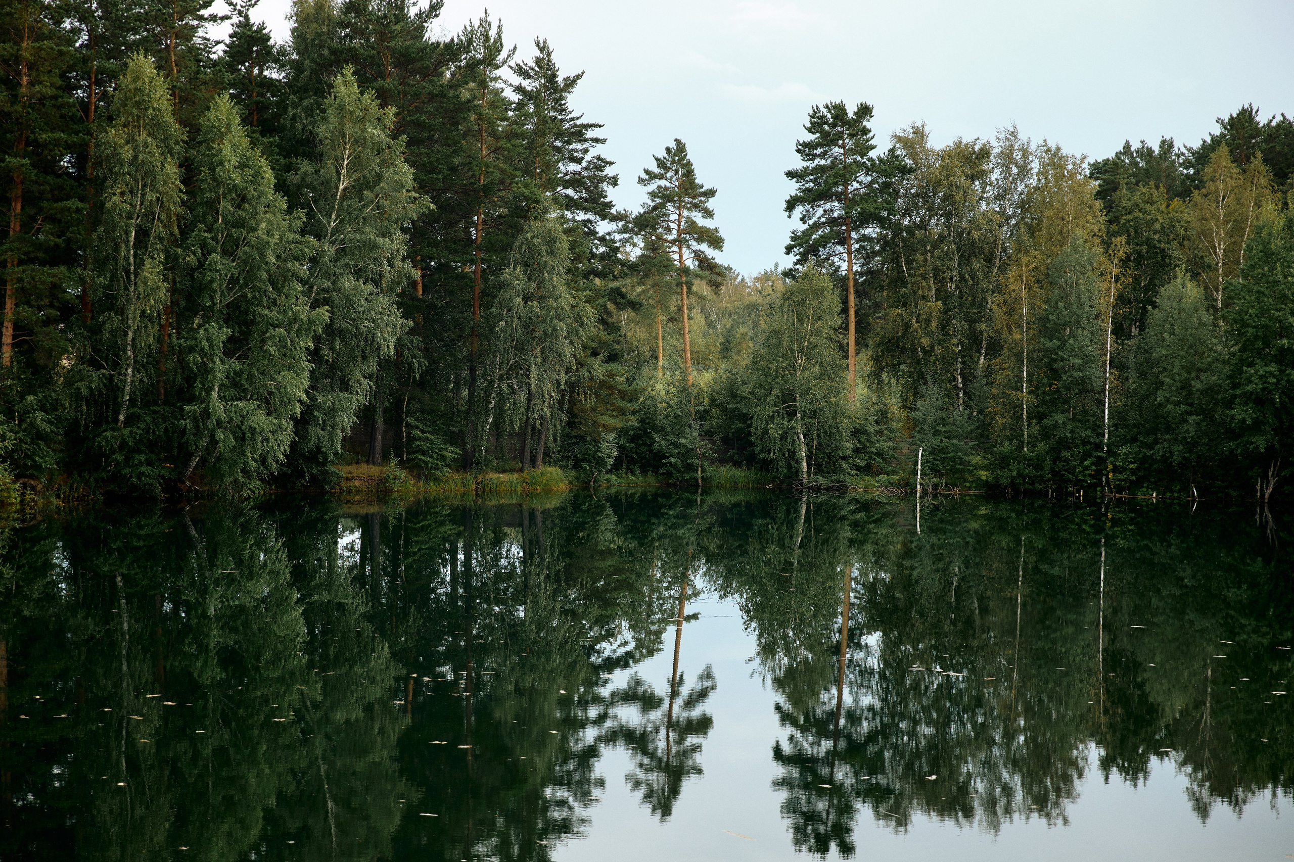 CASTLE IN THE AIR. Дмитрий Мазуркевич: Профессиональный Репортажный Фотограф