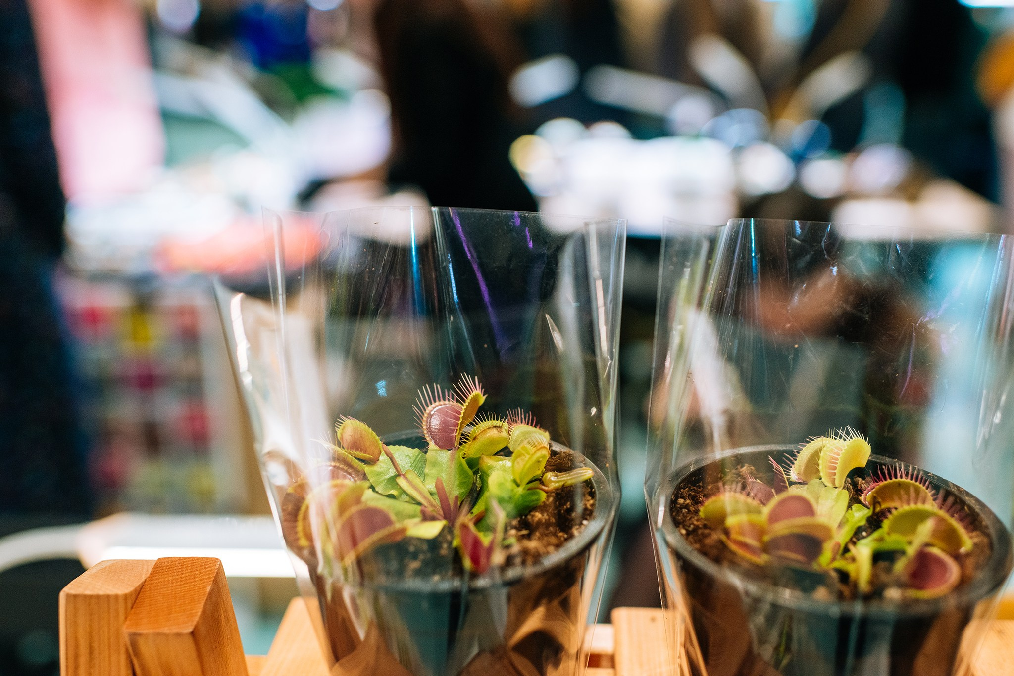 ВАУ Фест. Март 26. Репортажный фотограф в Санкт-Петербурге Анастасия Клёпова