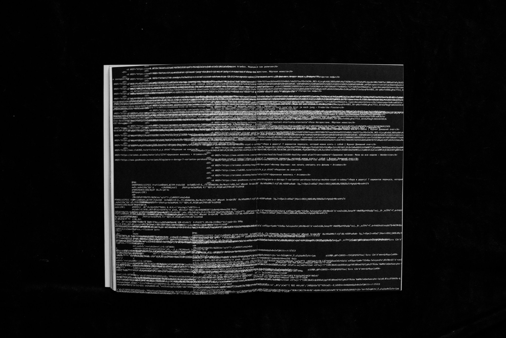 ОБЗОР АКТУАЛЬНЫХ ФОТОКНИГ: Цифровые тени слов. Самоорганизация Низина