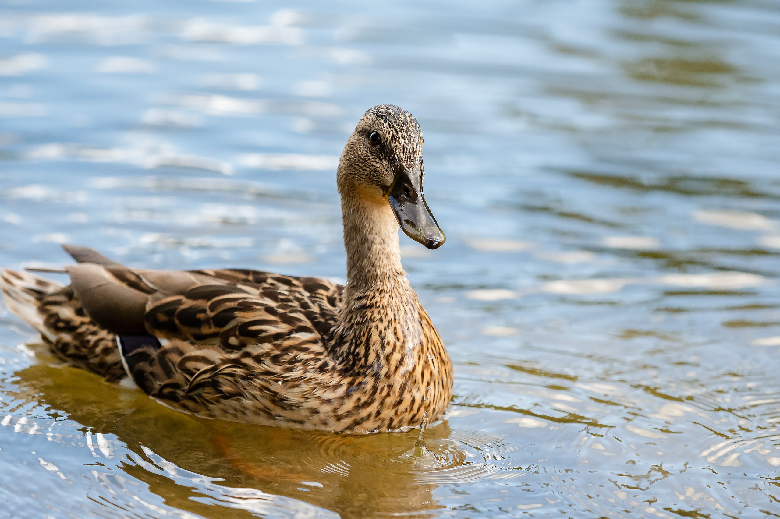 Красота Заречного. Репортажный, семейный и детский фотограф в Пензе и Заречном Арина Ермилова. Картины барельеф на заказ