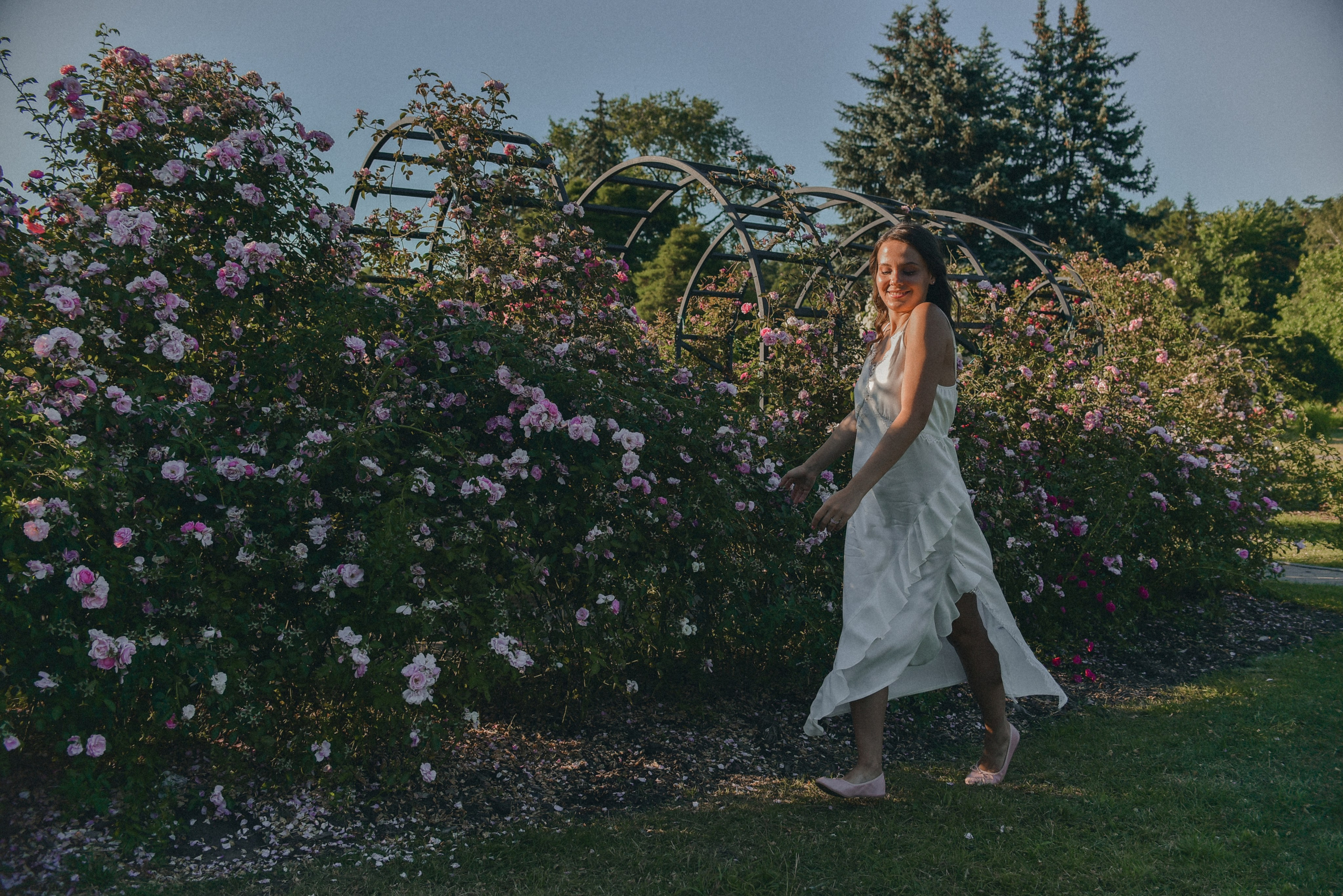 Розовая роща. Семейный фотограф Milena feel it