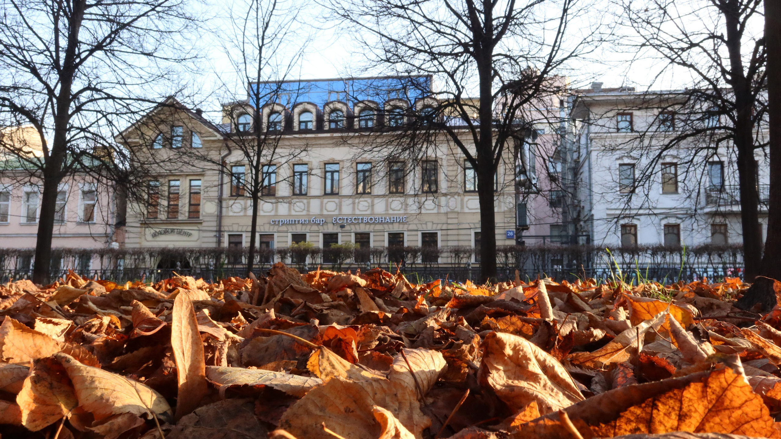 Улица, люди, жизнь…