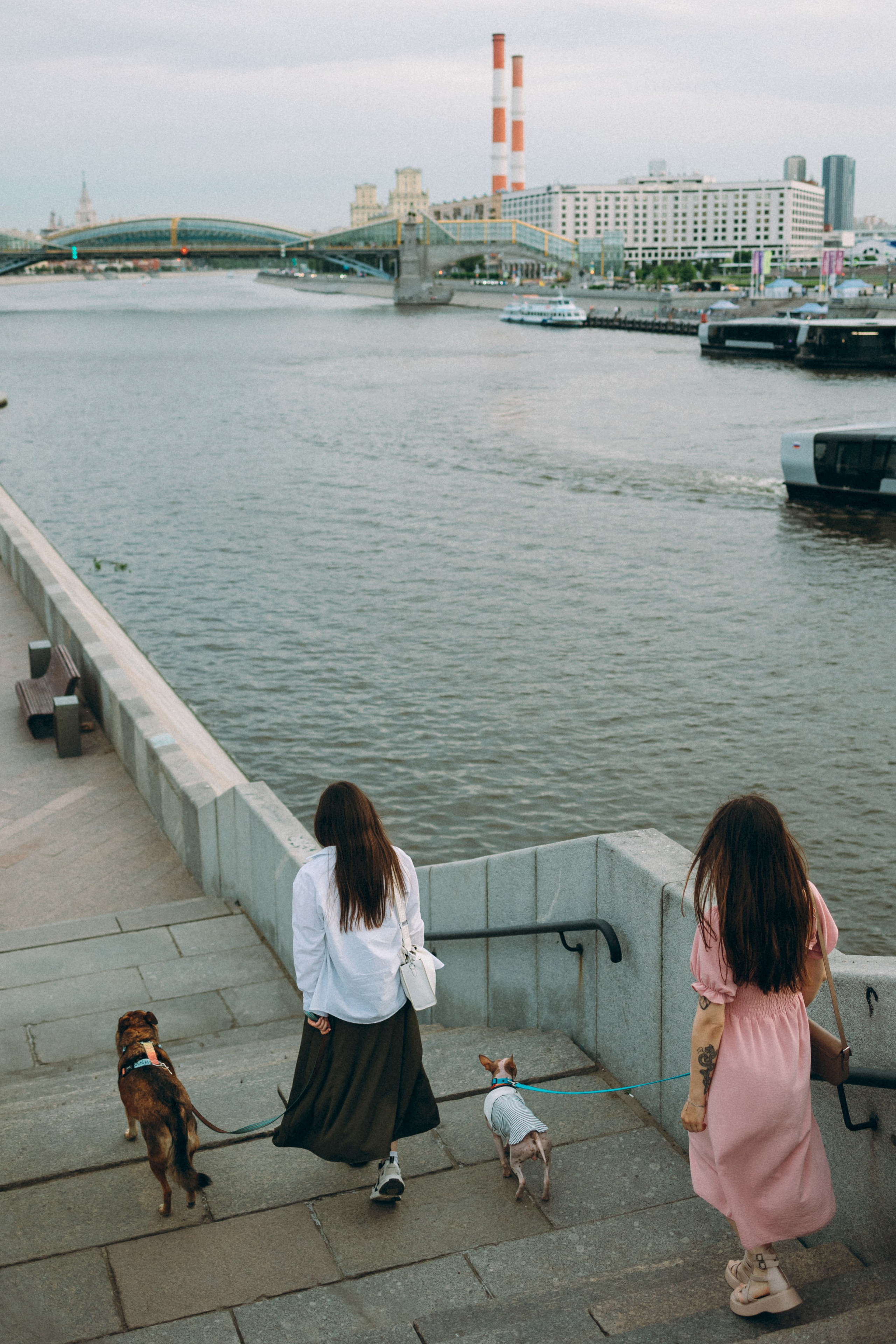 Глаша, Айрон, Ксюша и Оля. Фотограф анималист Анастасия Пикей