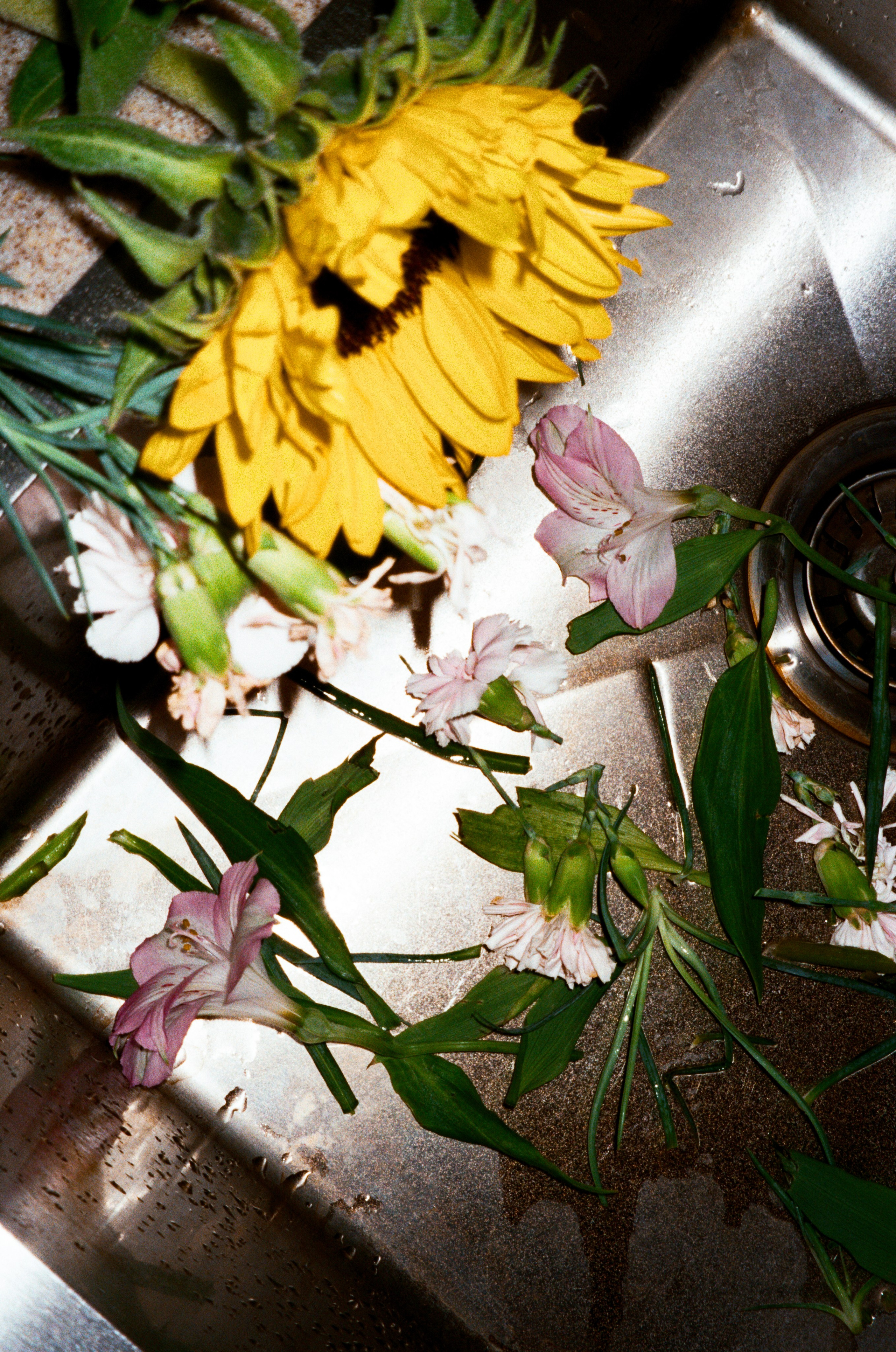 Портретный и предметный фотограф Елизавета Федорова