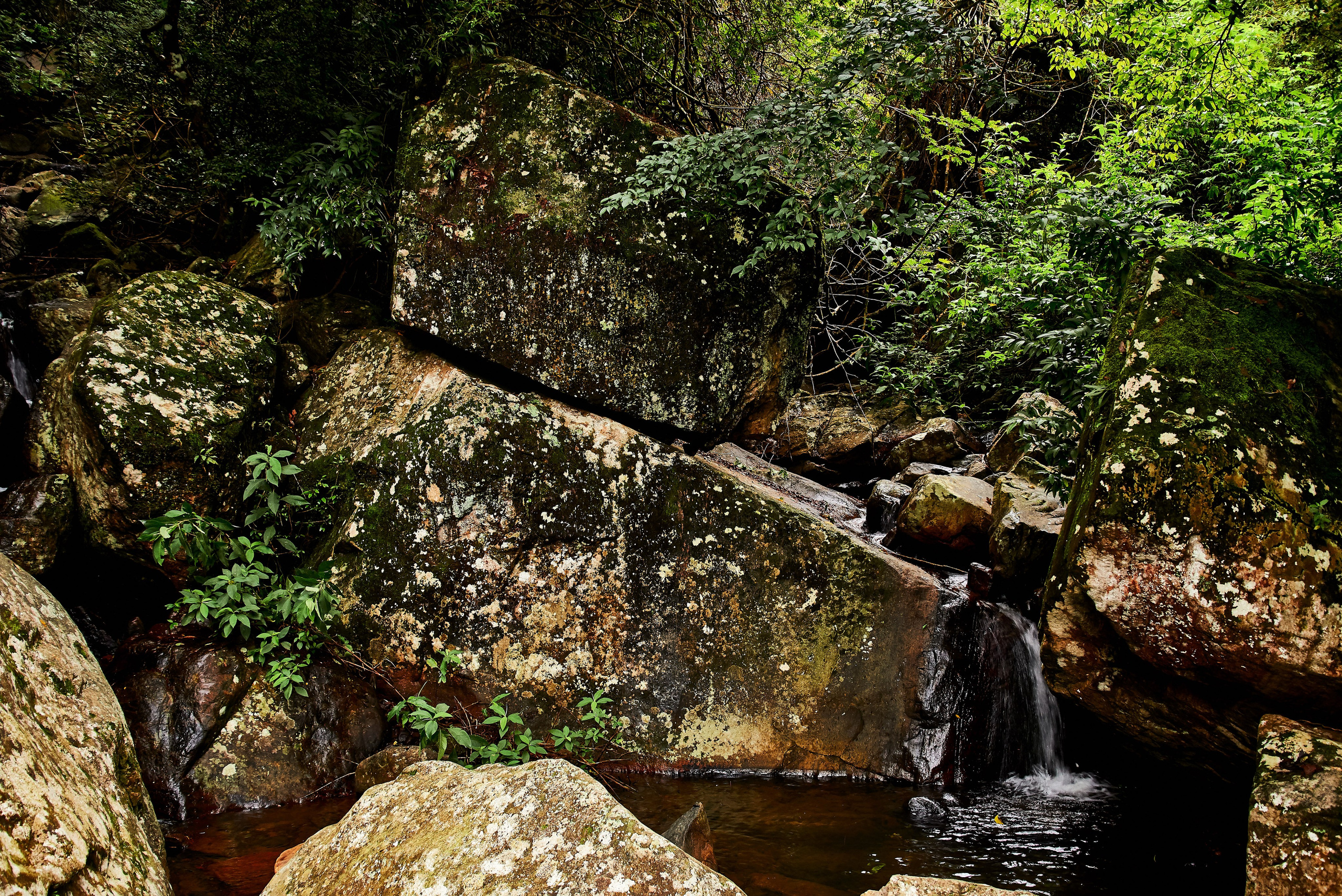 Moto Trip 23-05-19. Никита Хохловский фото и видео продакшн