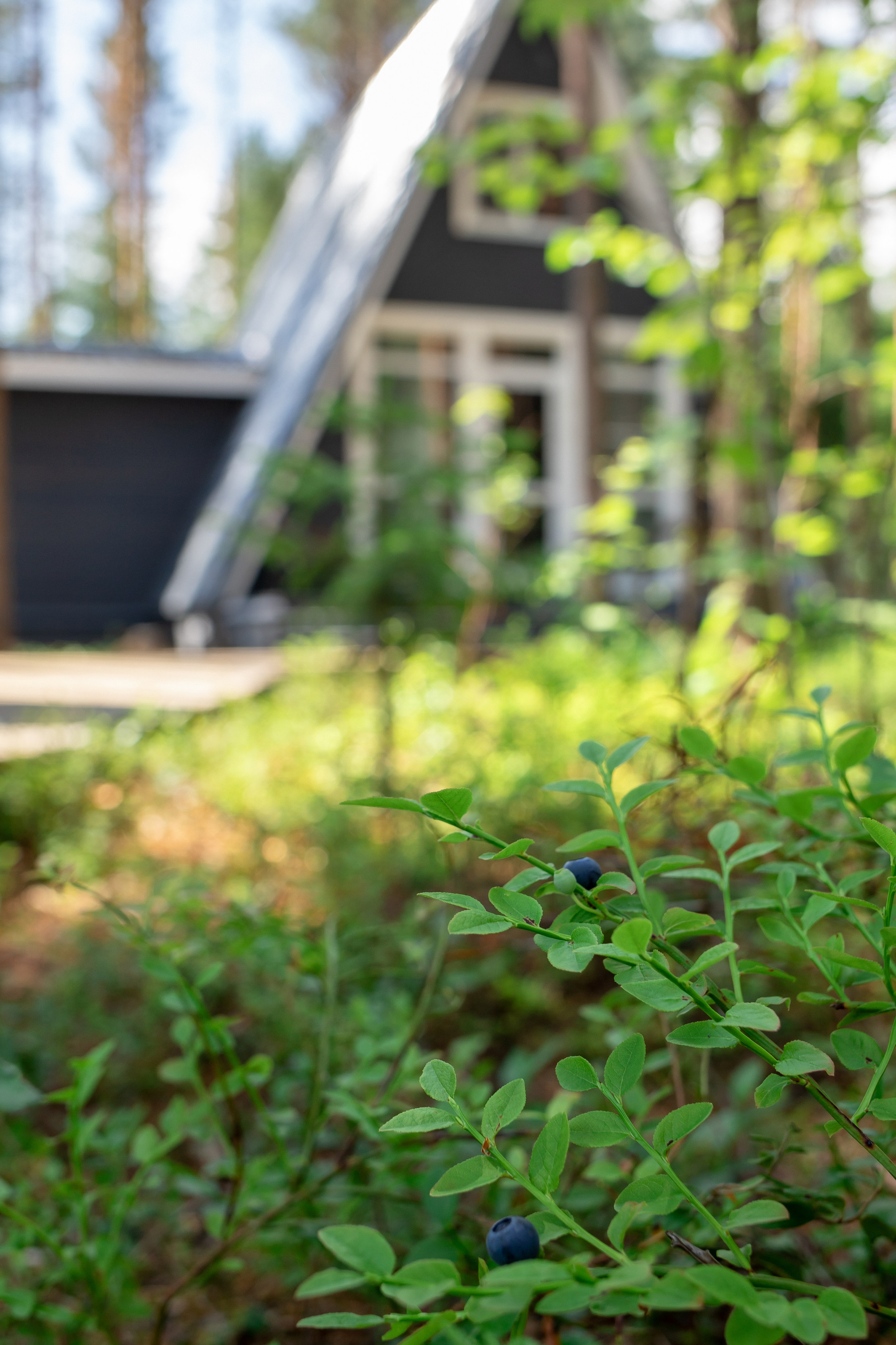 База отдыха Тосненский район ЛО. Фотограф недвижимости и контент-съемки в СПб