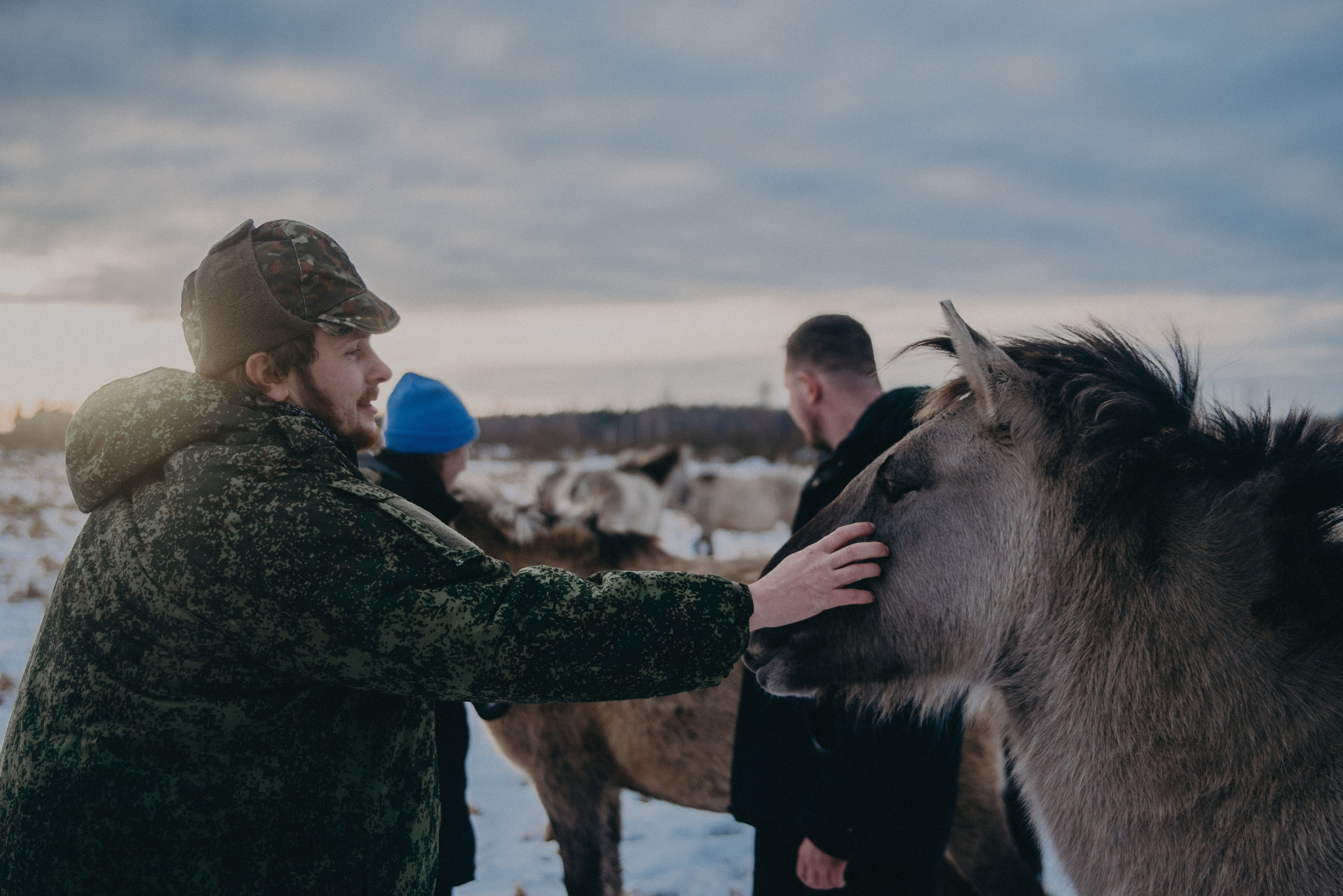 Тарпаны. Anita_photo