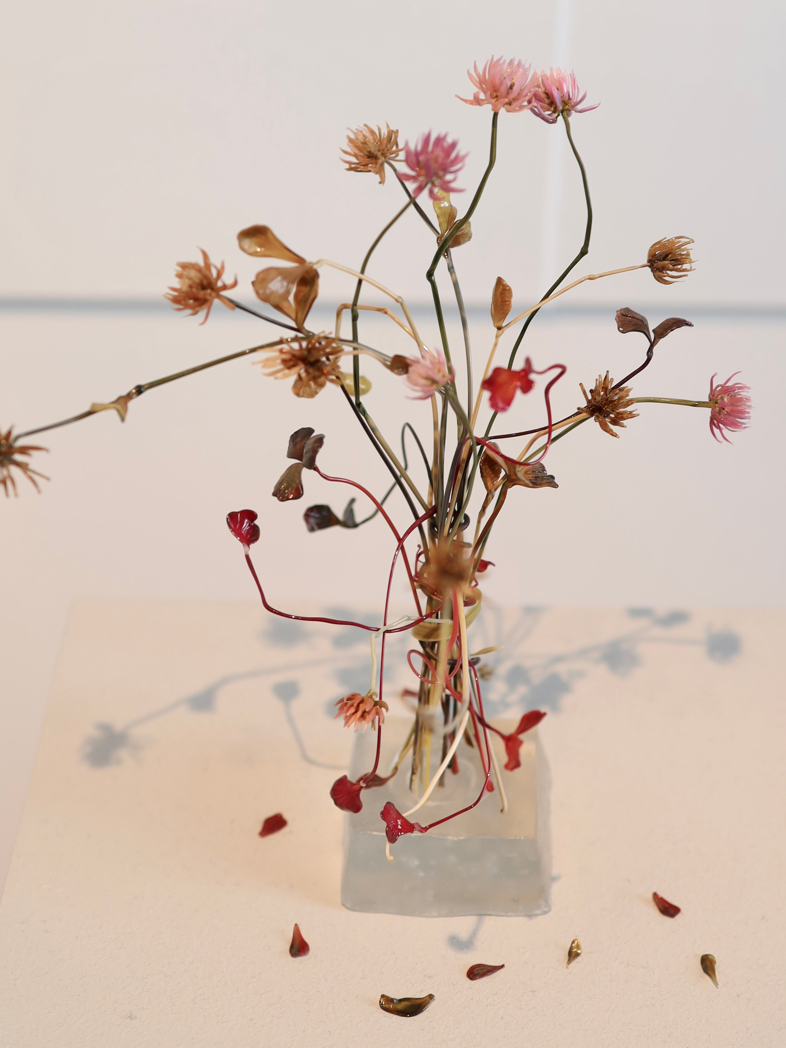 Выставка Степени прозрачности. Фотосессии и репортаж — Фотограф в Москве — Рина Серёгина