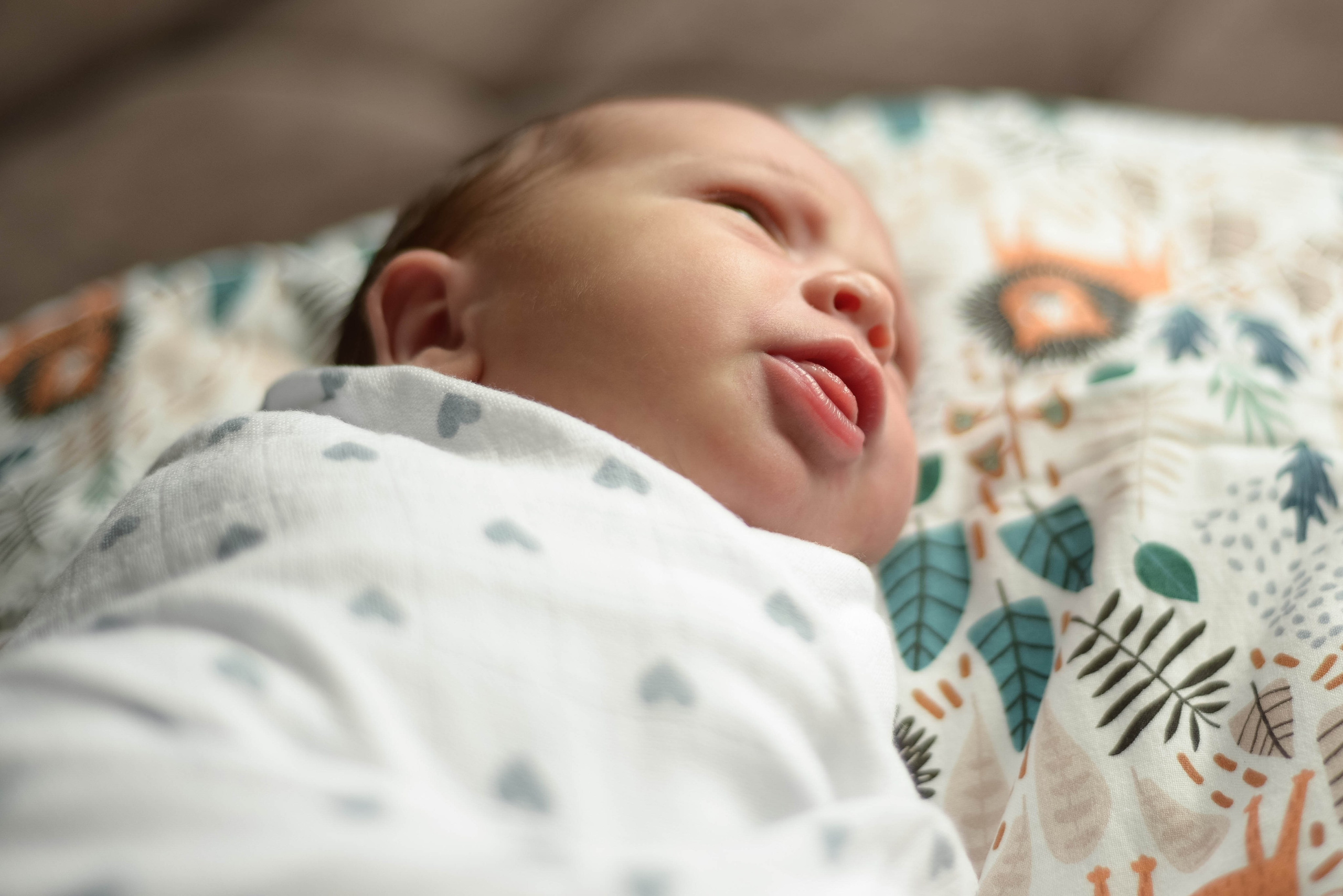 Лев родился. Семейный и детский фотограф в Москве (Тинао) Галкина Алевтина