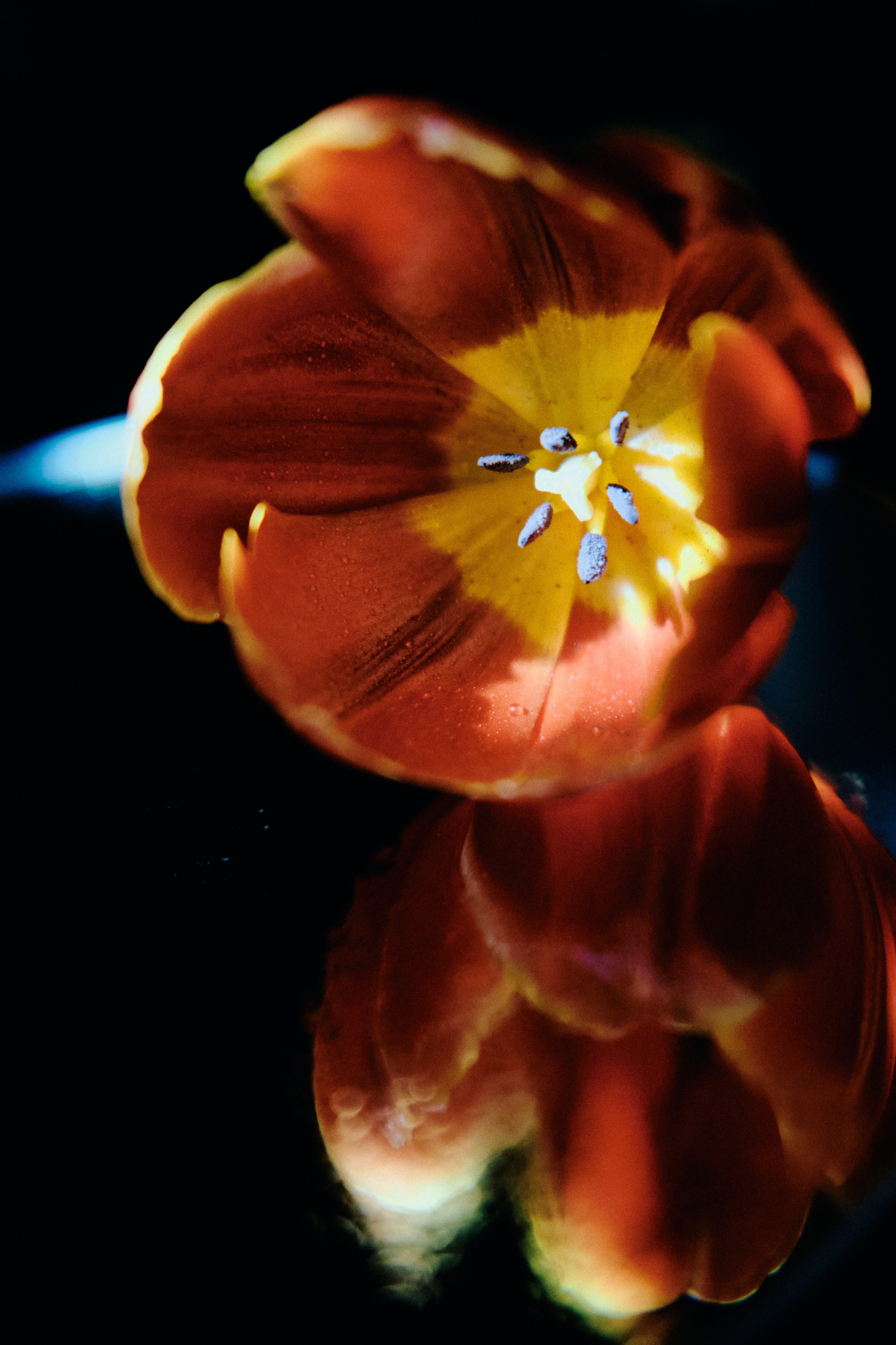 Дневник. Фотограф из Хакасии Элина Кичеева