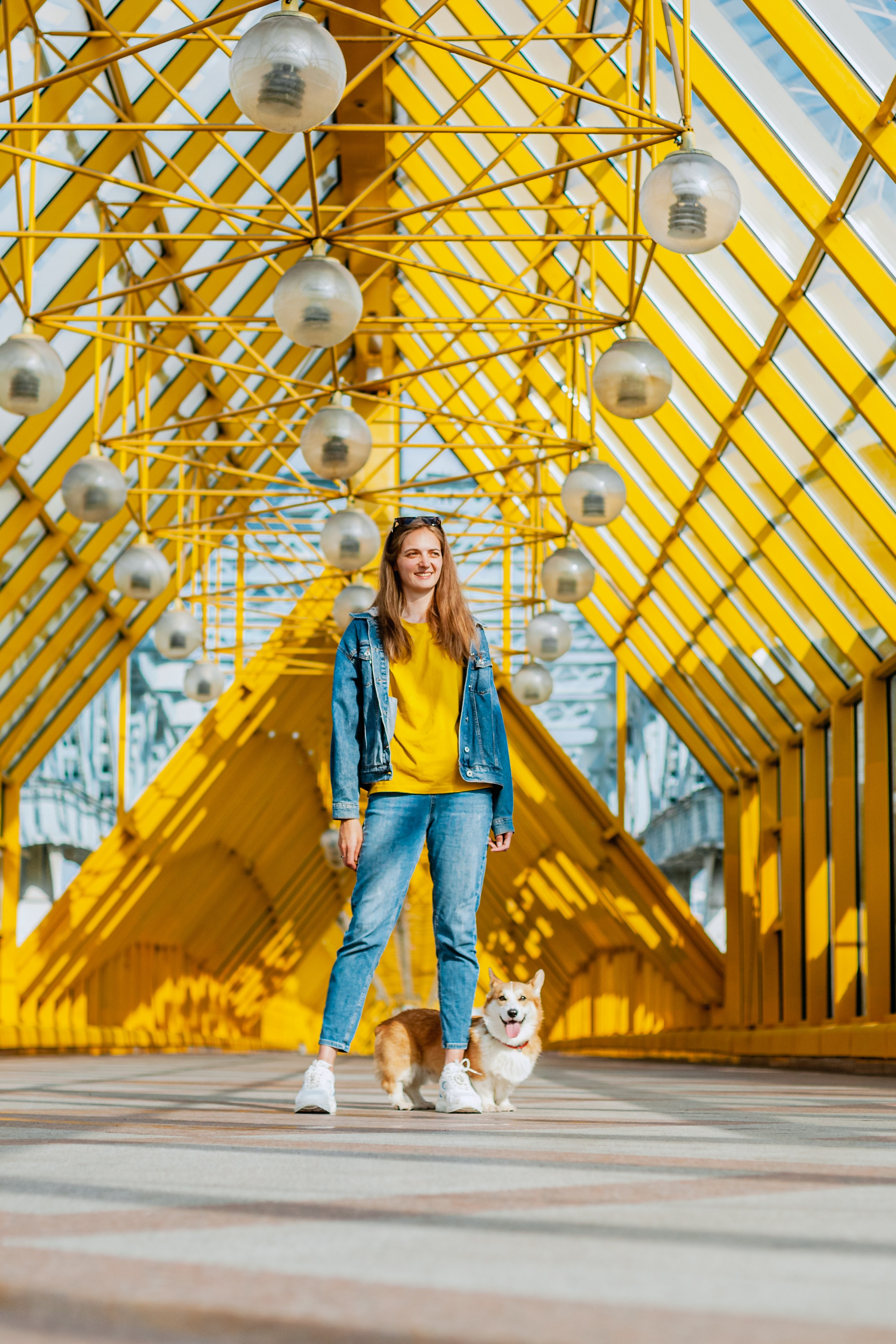 Андреевский мост. Фотограф-анималист Татьяна Степанова