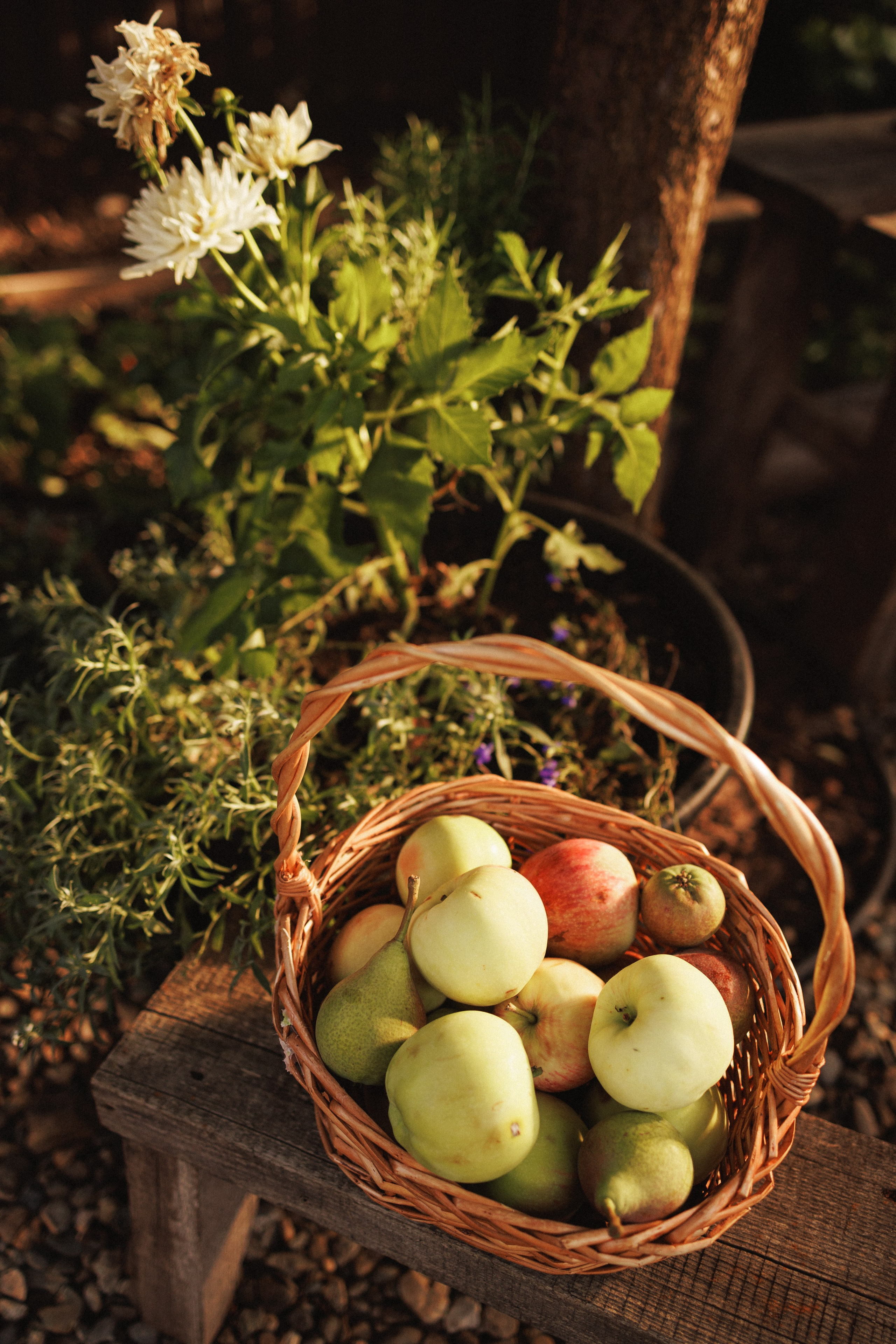 Семейная фотосессия в деревенском стиле, фотостудия «Теплица», город Краснодар. Семейный и детский фотограф в Краснодаре Анна Трашкова
