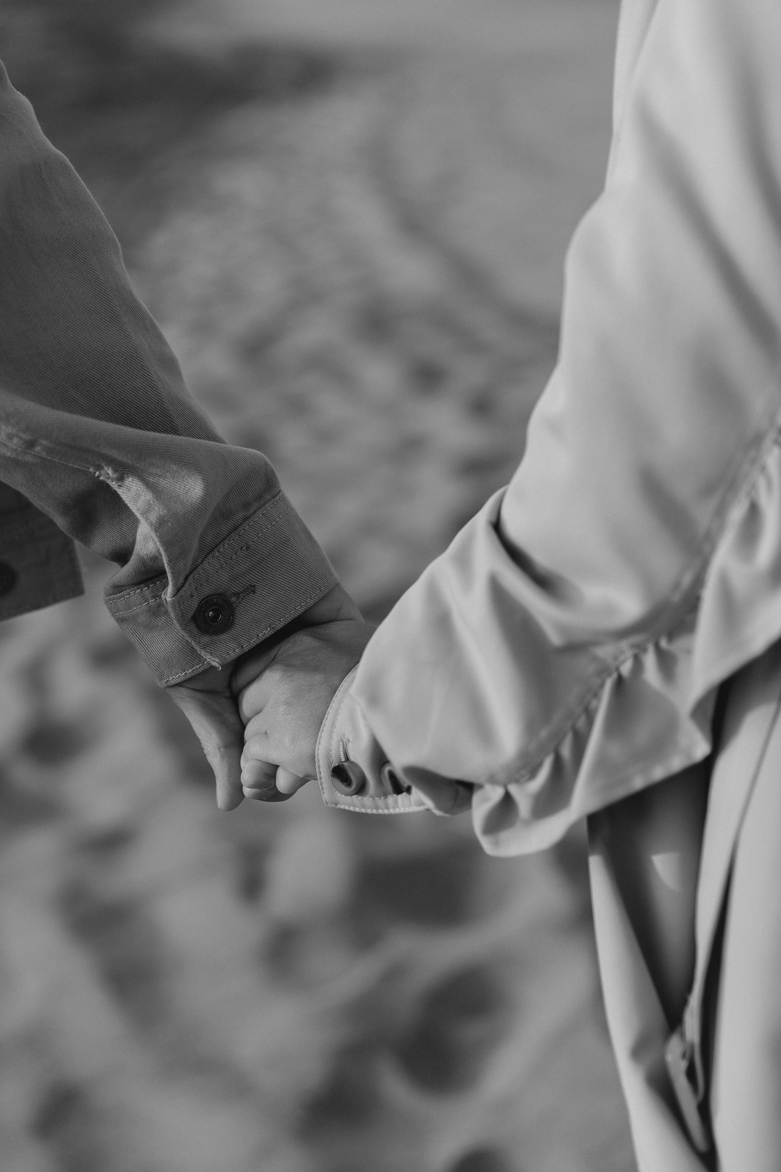 В лучах солнца. Фотограф Елена Краснопевцева