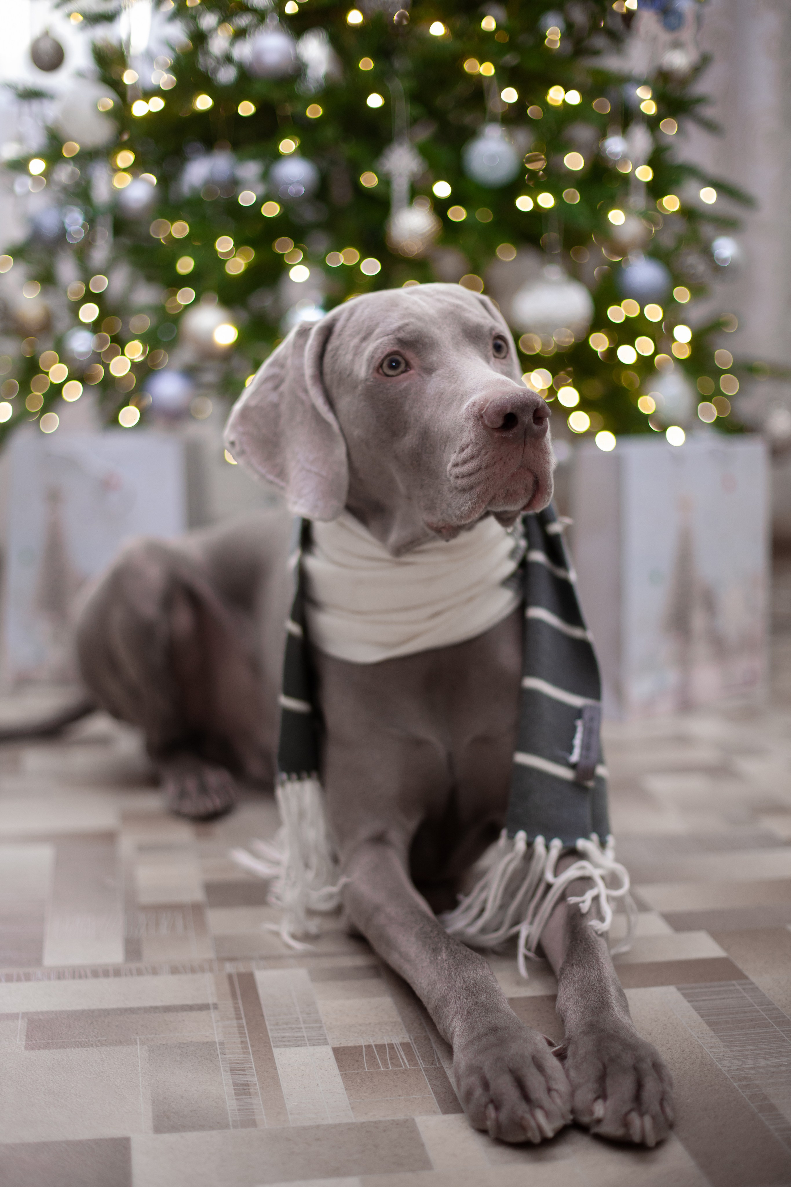 Домашняя. Фотограф в Томске Евгения Гуляева