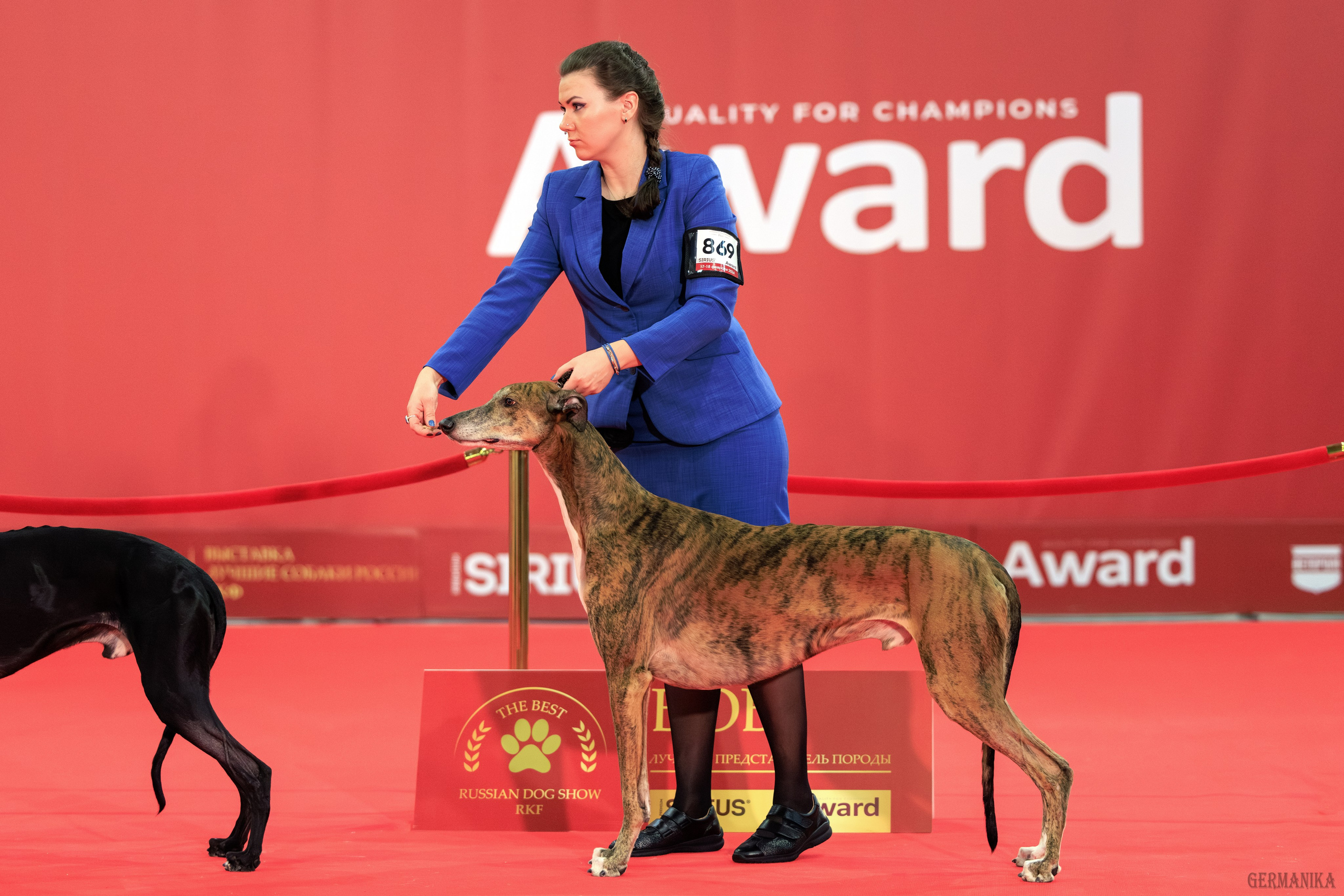 Лучшие Собаки России 17-18.02.2024. Фотограф-анималист Юлия Германика
