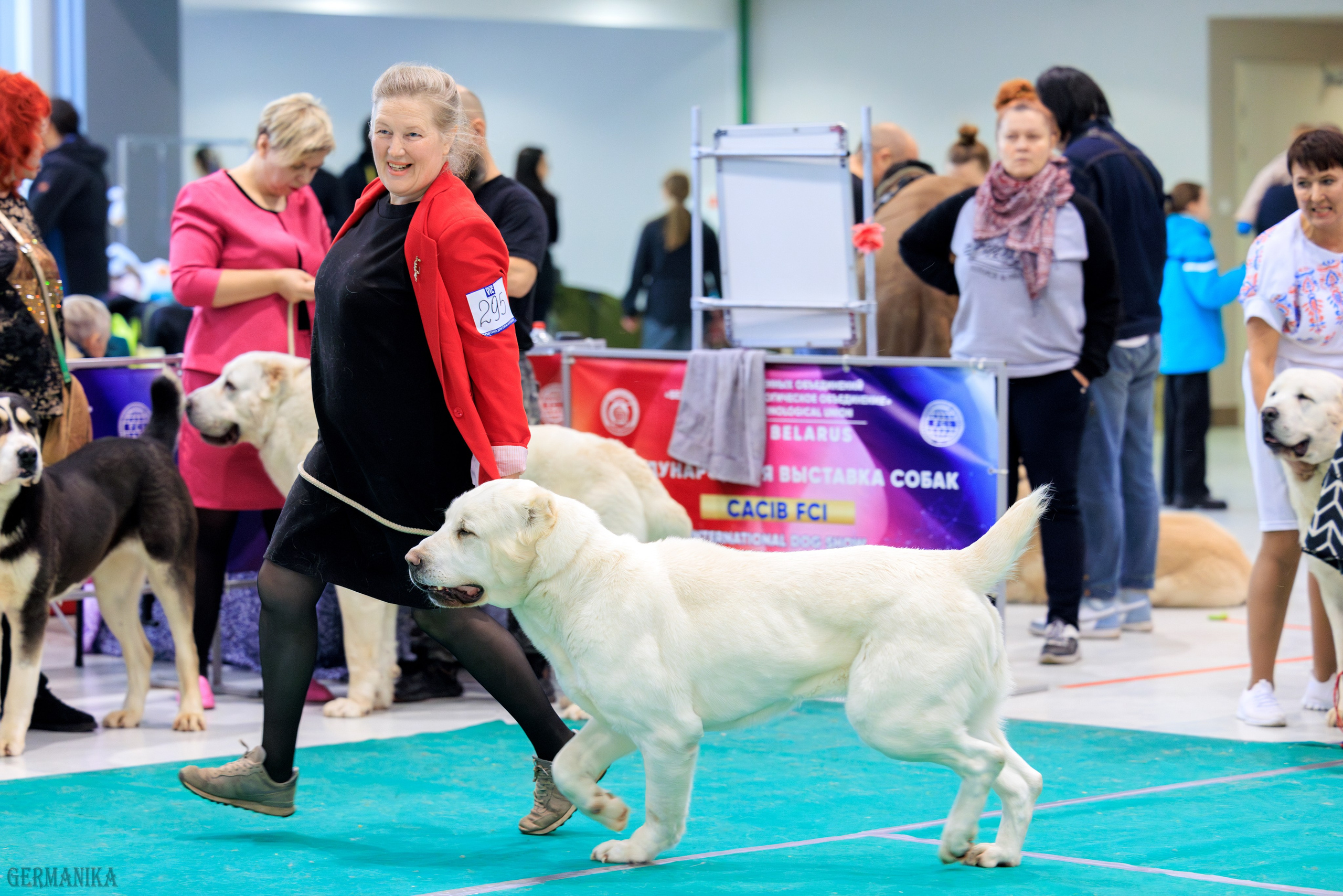 Минск 24-25.02.2024. Фотограф-анималист Юлия Германика