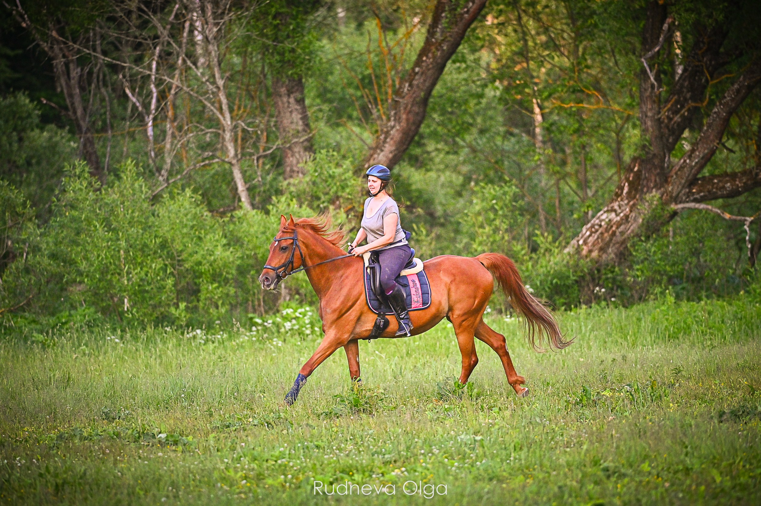 Лошади и их люди. ТУРНИРНАЯ КОННАЯ ФОТОГРАФИЯ, Руднева Ольга и Евгений Адеев