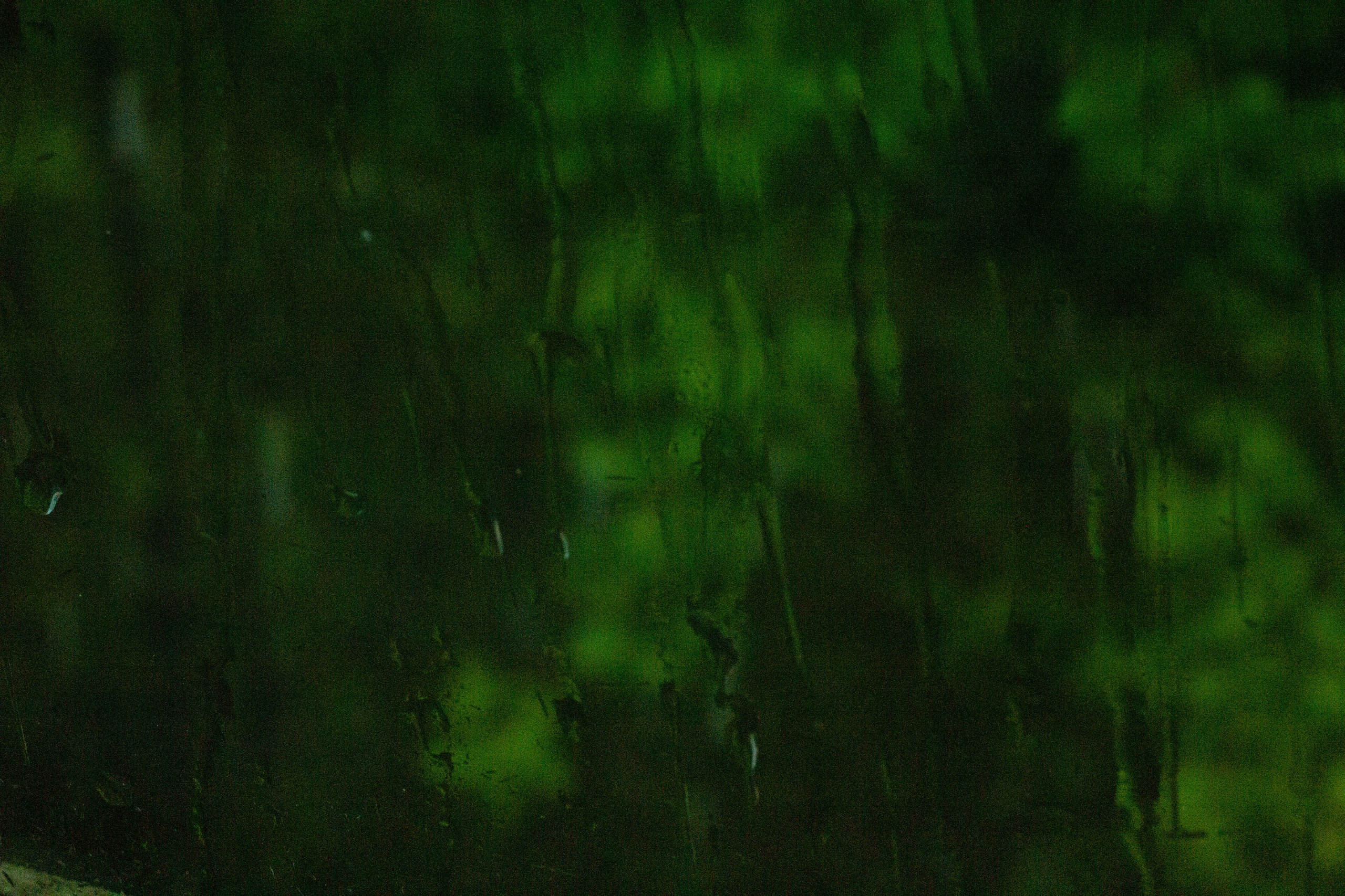 Dacha vibes. Папка кадров 📁