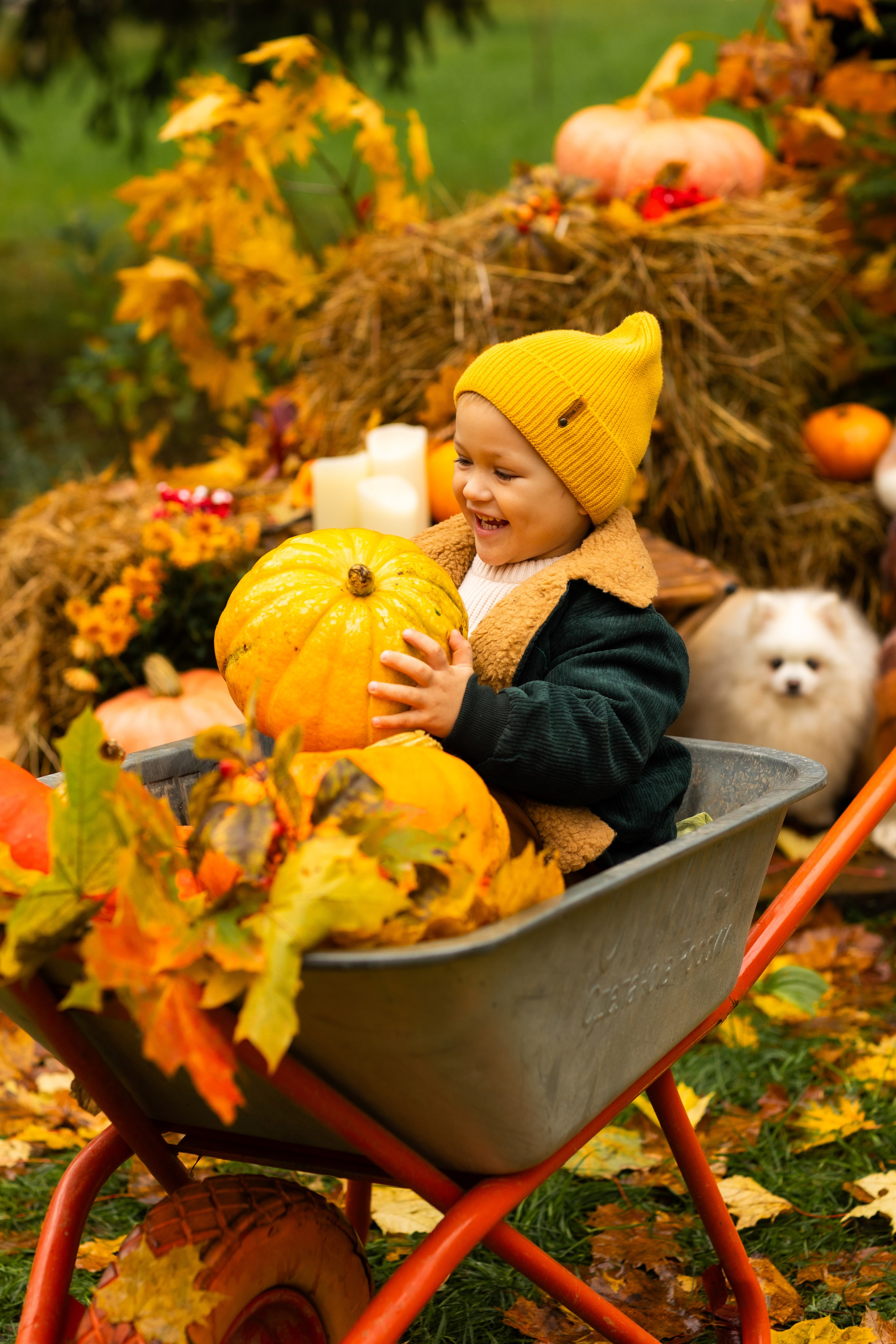 Осень. Профессиональный ретушер Москва и весь мир — Елена Тимченко