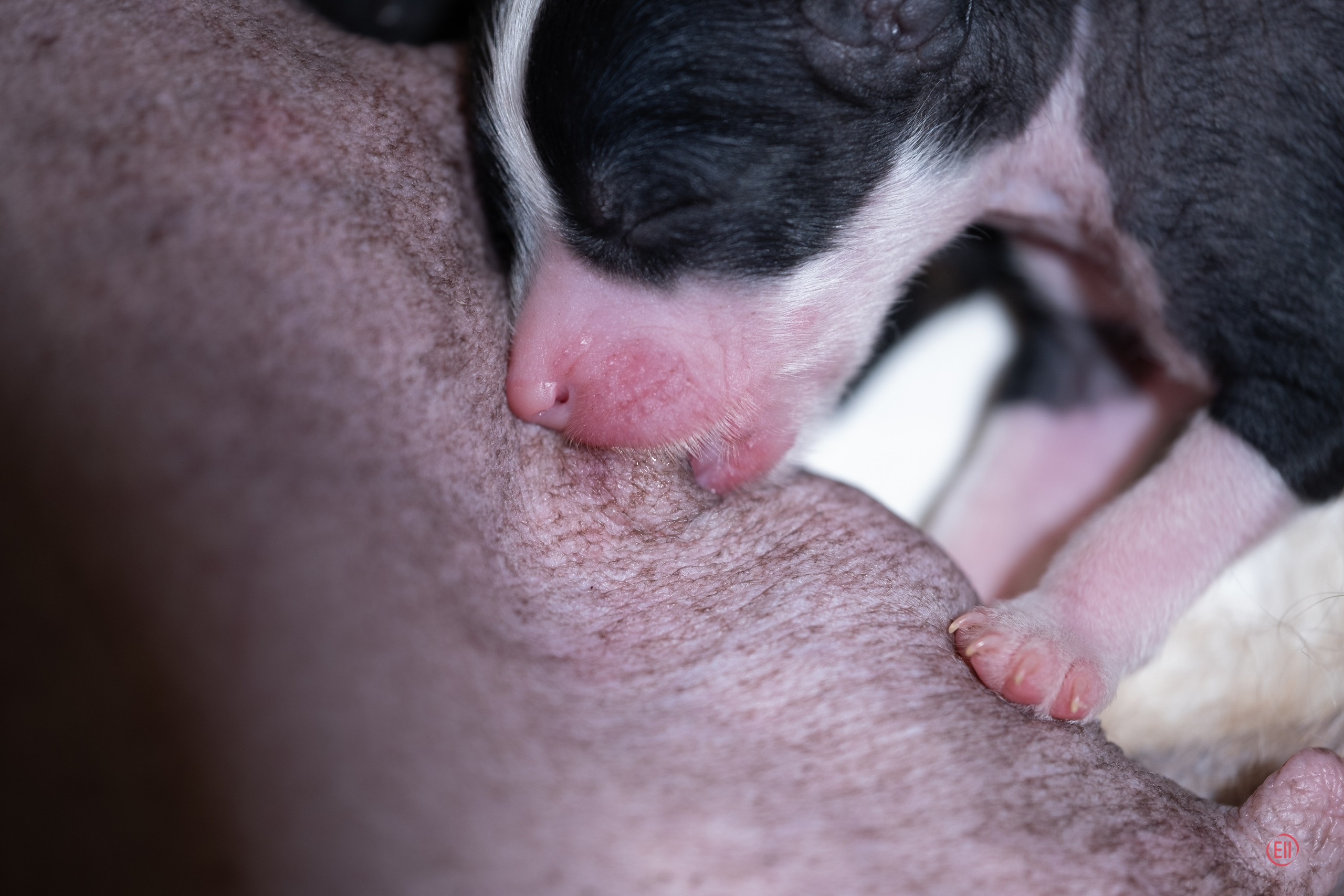 4-й день. Poale Ell Dasha