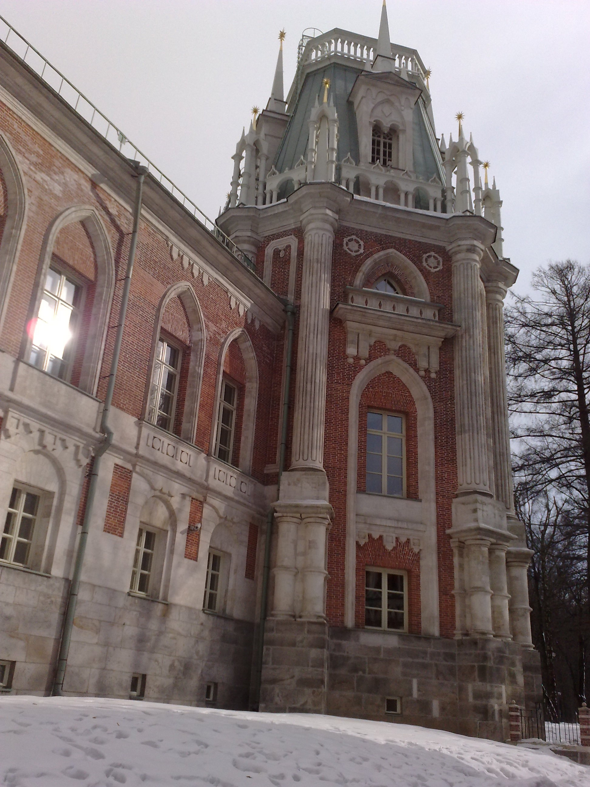 Царицино музей-усадьба. Питомник китайских хохлатых собак Poale Ell: купить щенка в питомнике