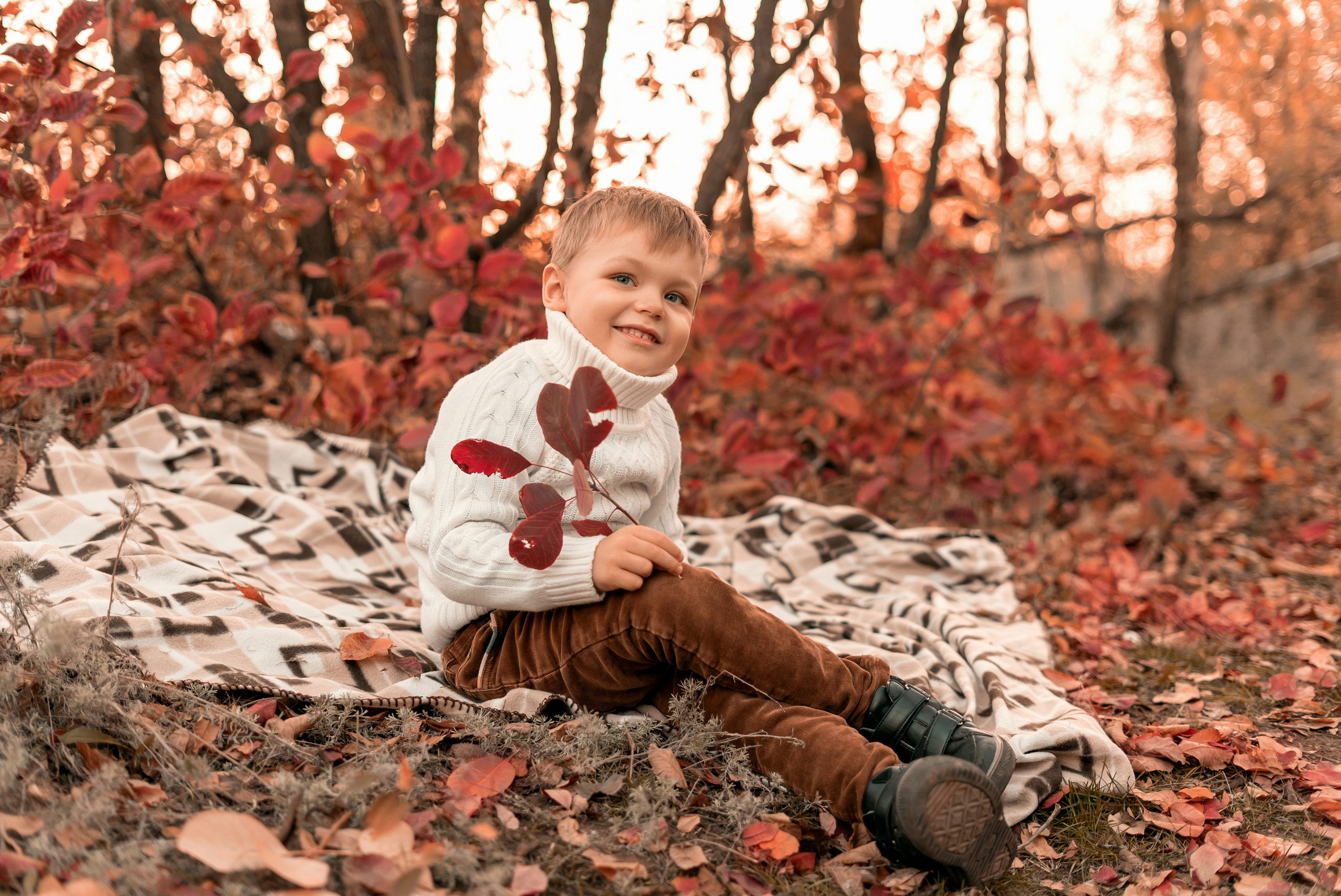 В багровом лесу. Семейный и свадебный фотограф Адыгея Краснодар