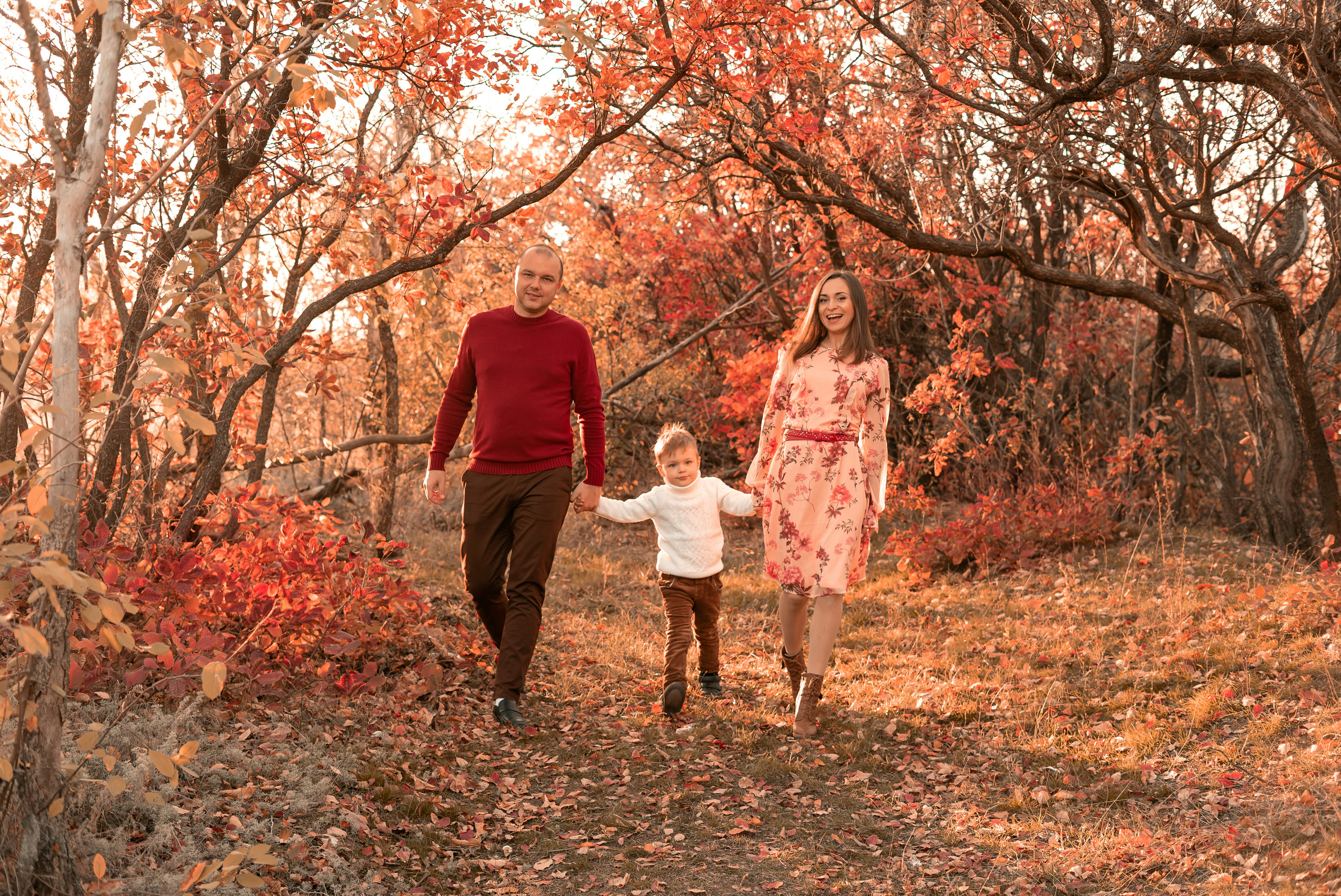 В багровом лесу. Семейный и свадебный фотограф Адыгея Краснодар